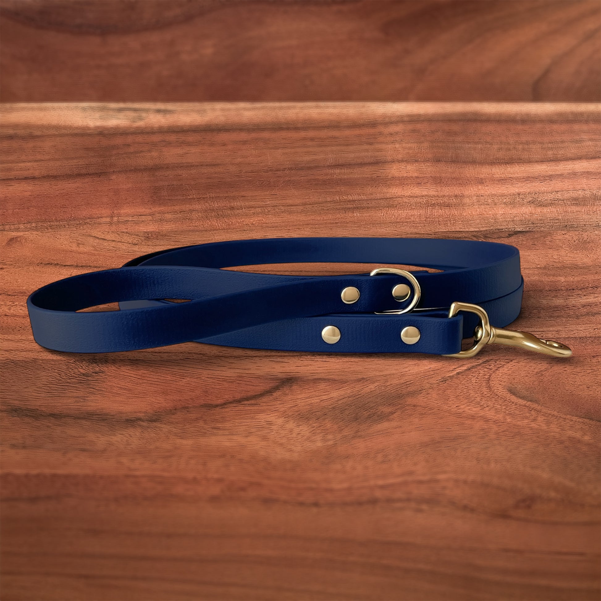 Midnight Leash - FoxMoth - Pet Collars & Harnesses