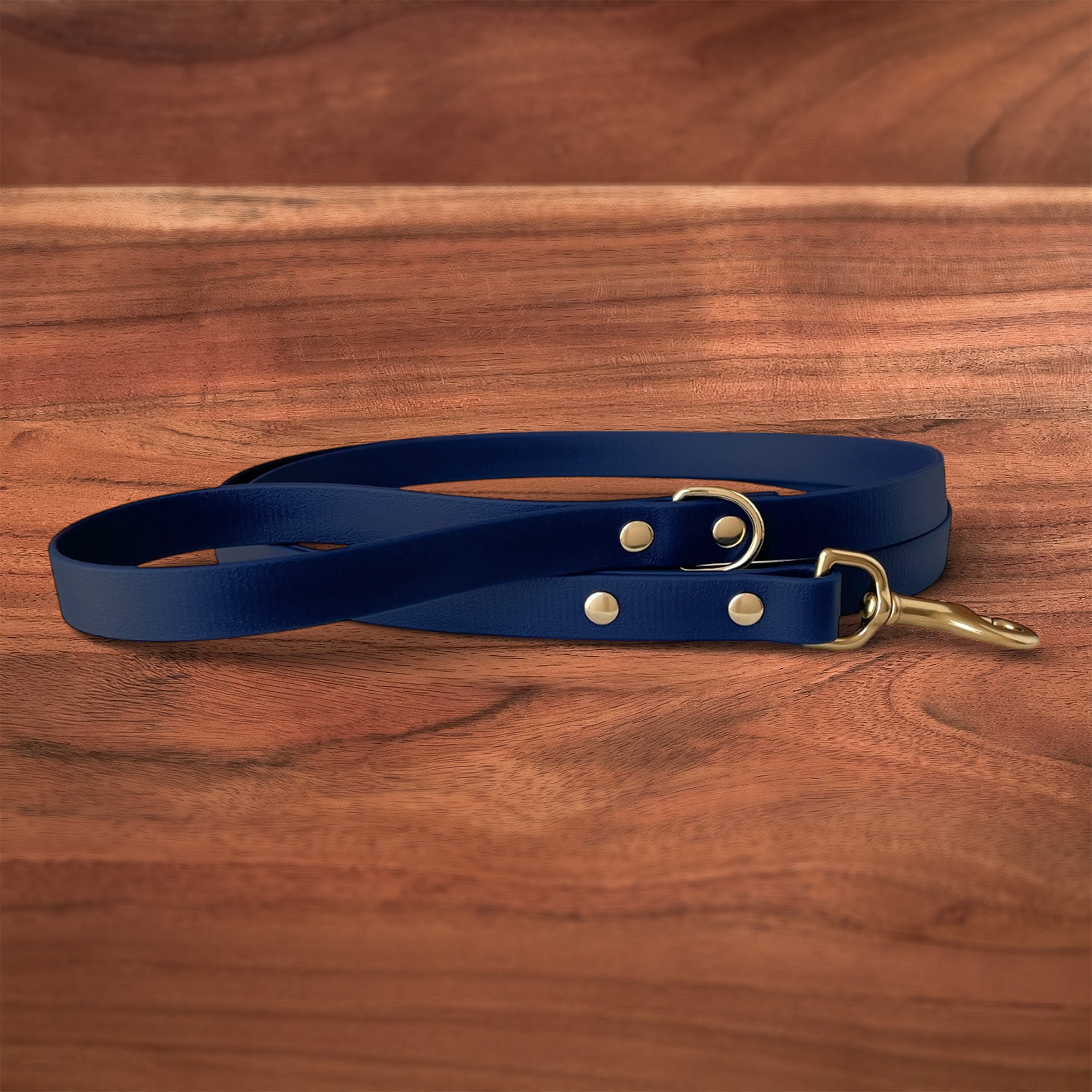 Midnight Leash - FoxMoth - Pet Collars & Harnesses