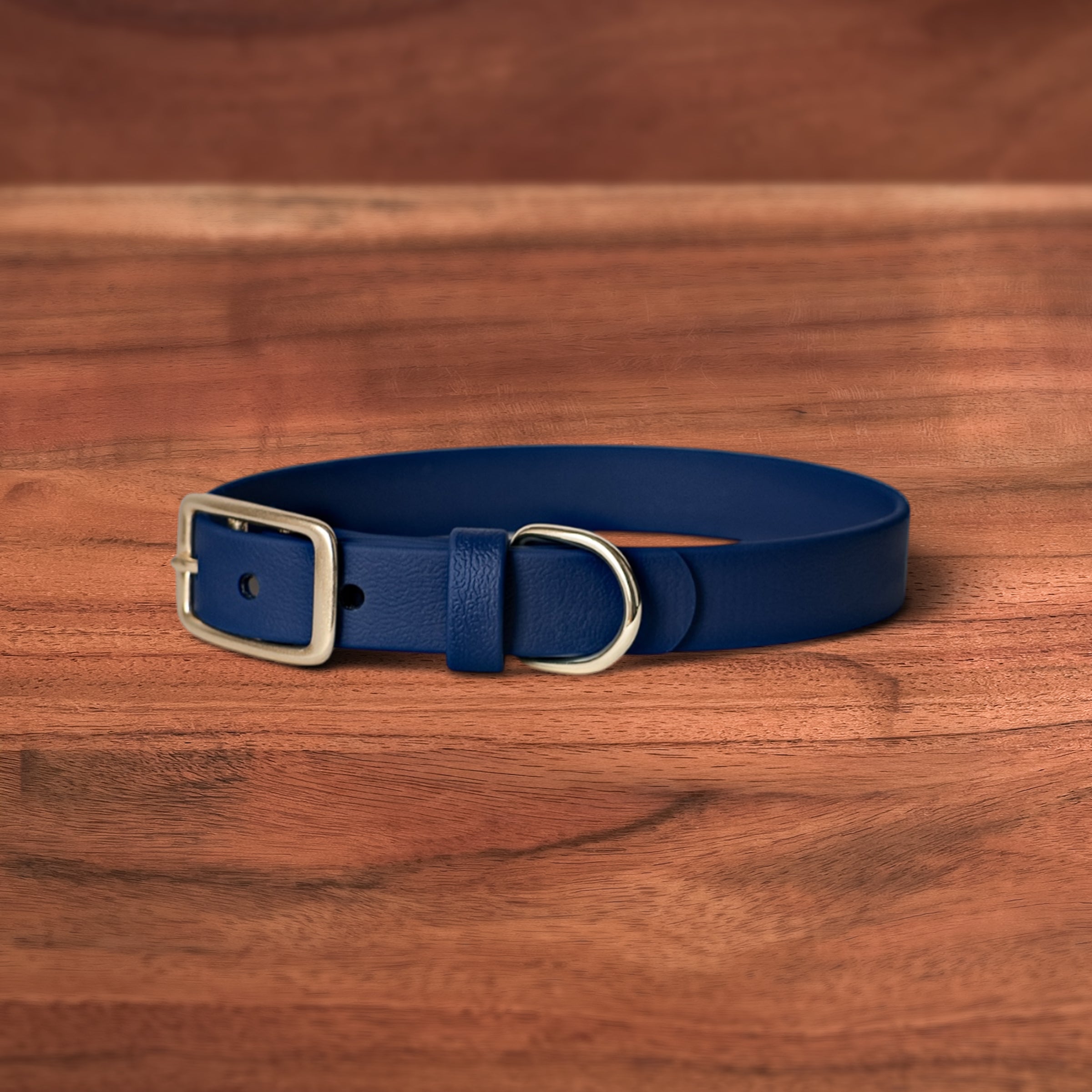Midnight Buckle Collar - FoxMoth - Pet Collars & Harnesses