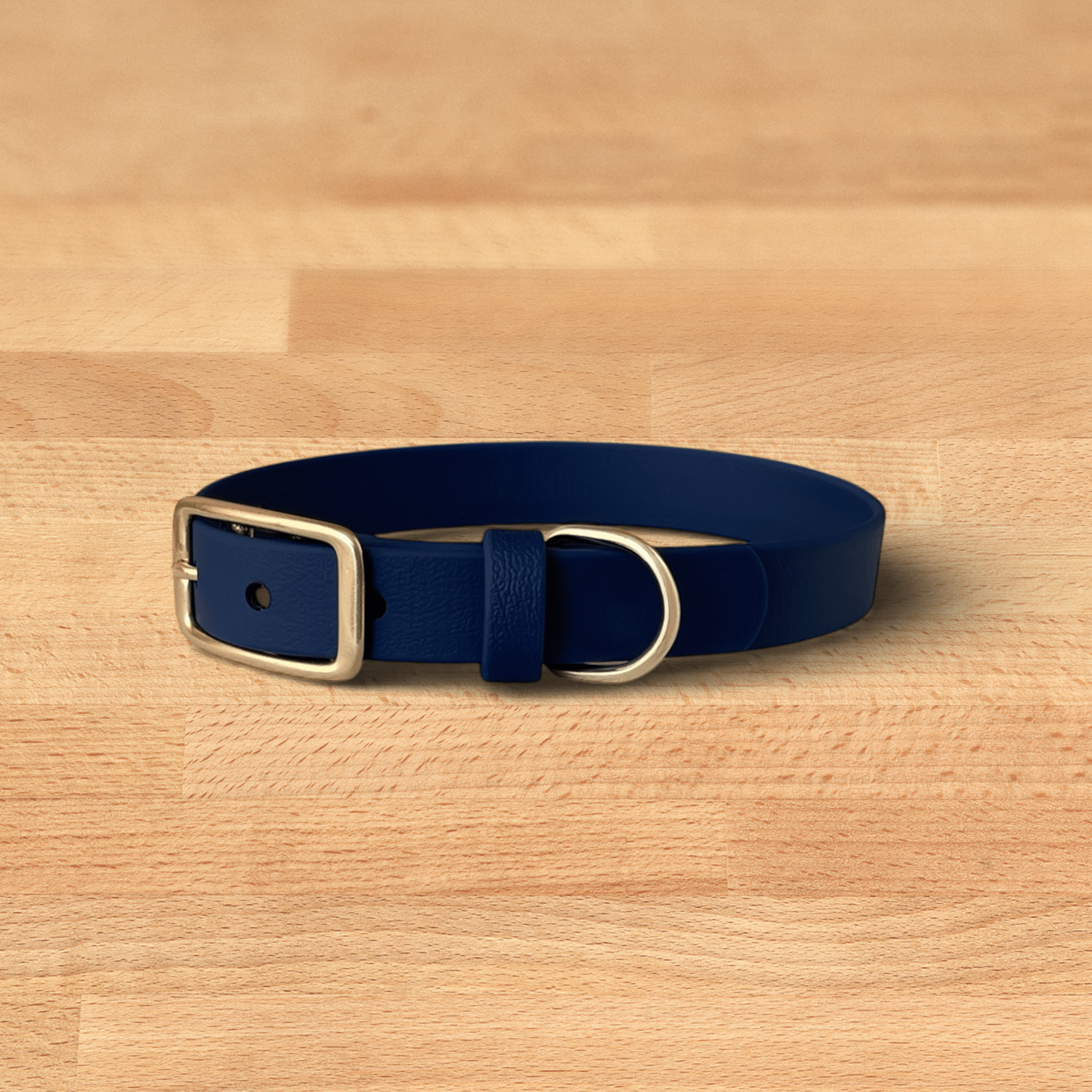 midnight buckle collar - FoxMoth - Pet Collars & Harnesses