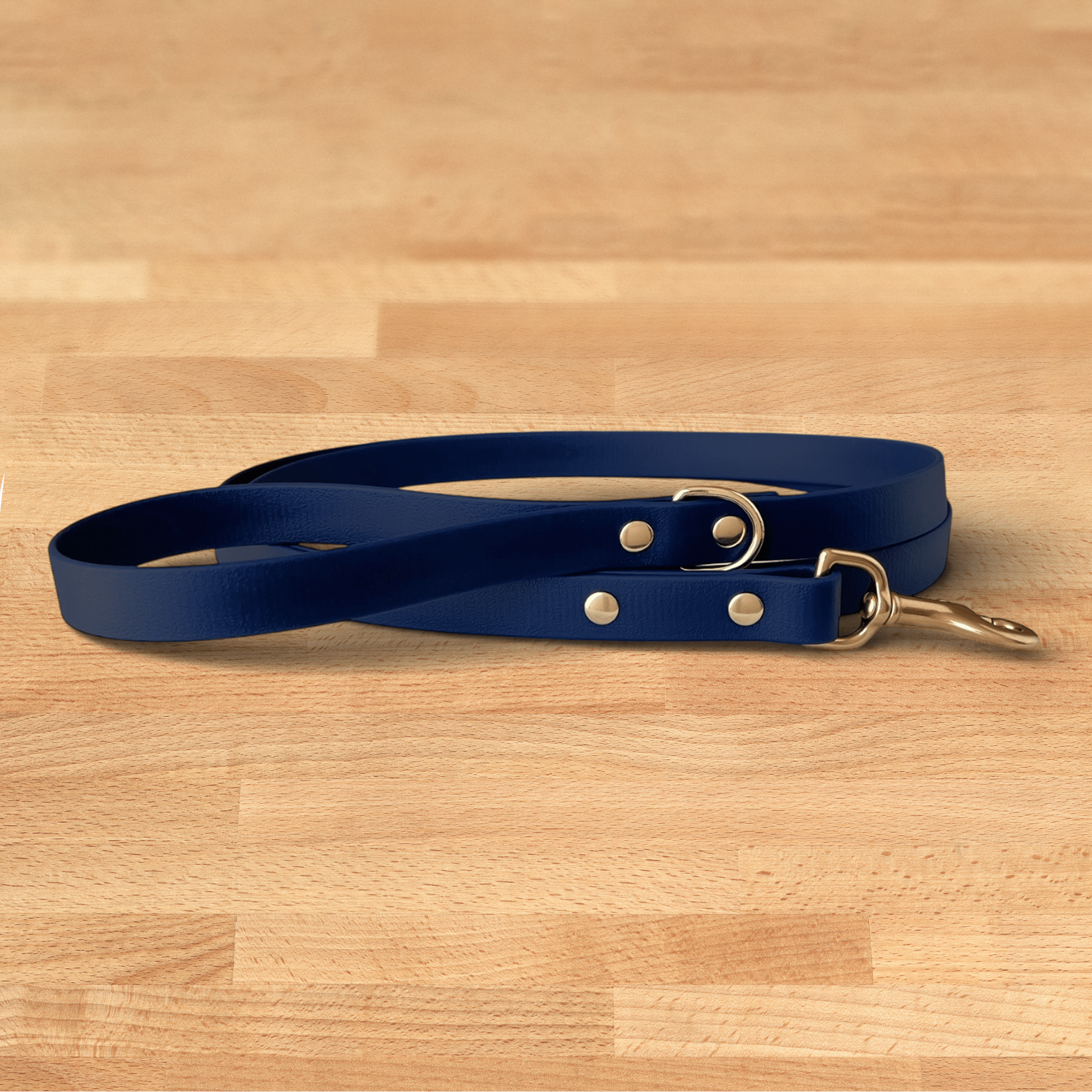 midnight leash - FoxMoth - Pet Collars & Harnesses