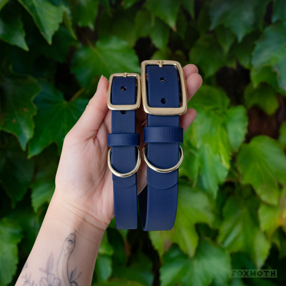 Midnight Buckle Collar - FoxMoth - Pet Collars & Harnesses