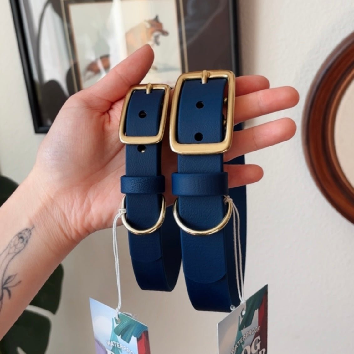 midnight buckle collar - FoxMoth - Pet Collars & Harnesses