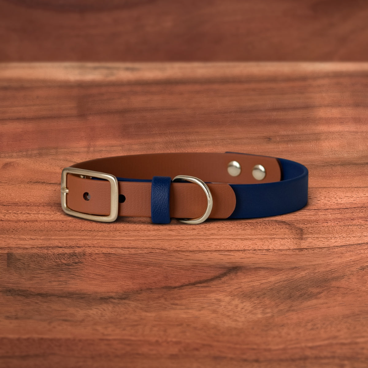 Sienna x Midnight Buckle Collar - FoxMoth - Pet Collars & Harnesses