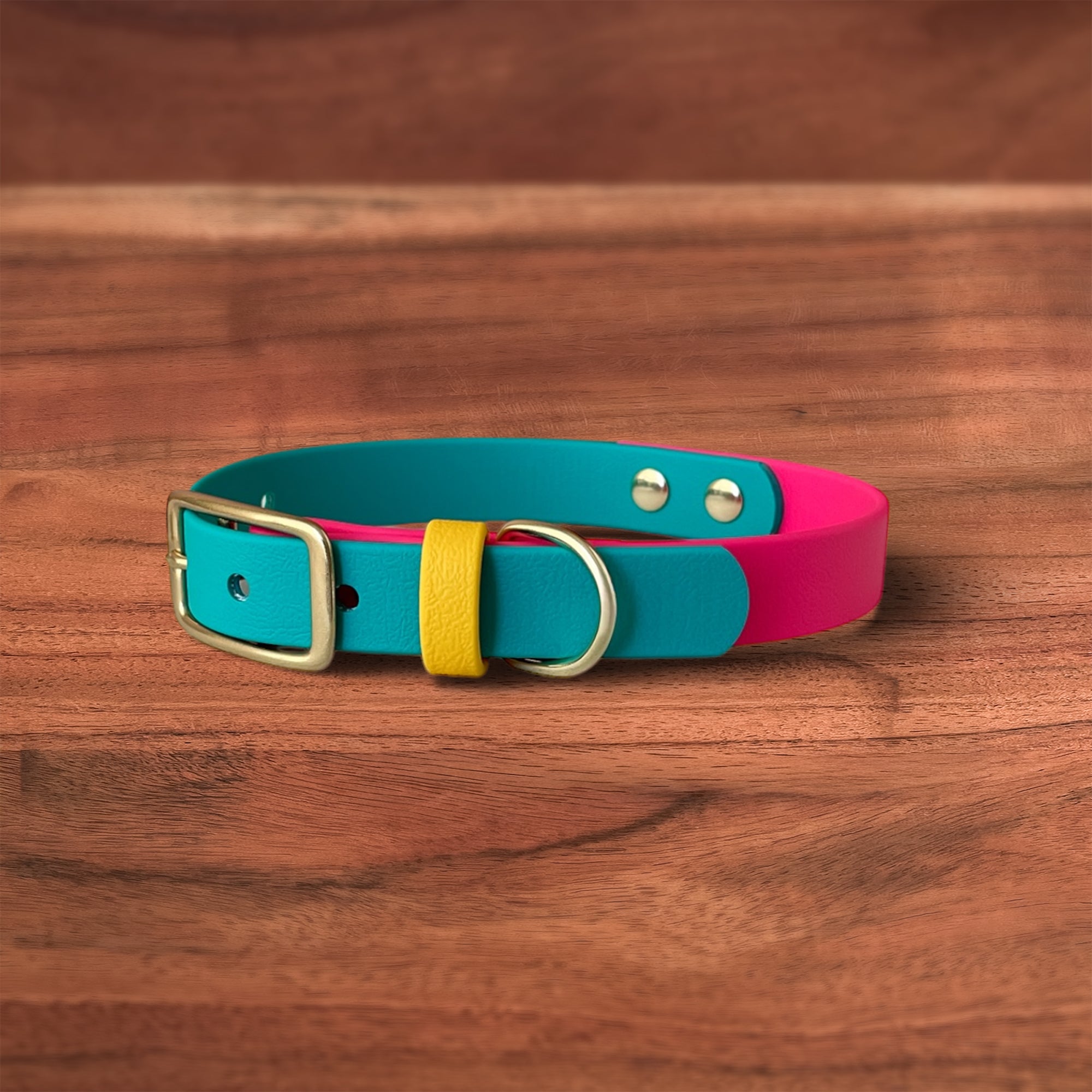 Modern Retro Buckle Collar - FoxMoth - Pet Collars & Harnesses