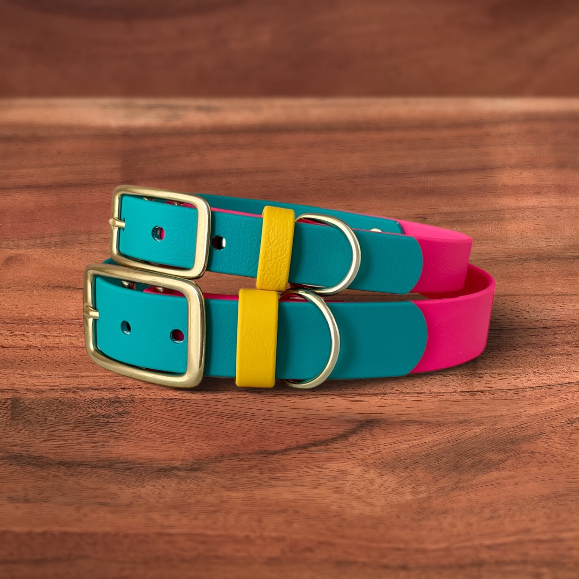 Modern Retro Buckle Collar - FoxMoth - Pet Collars & Harnesses