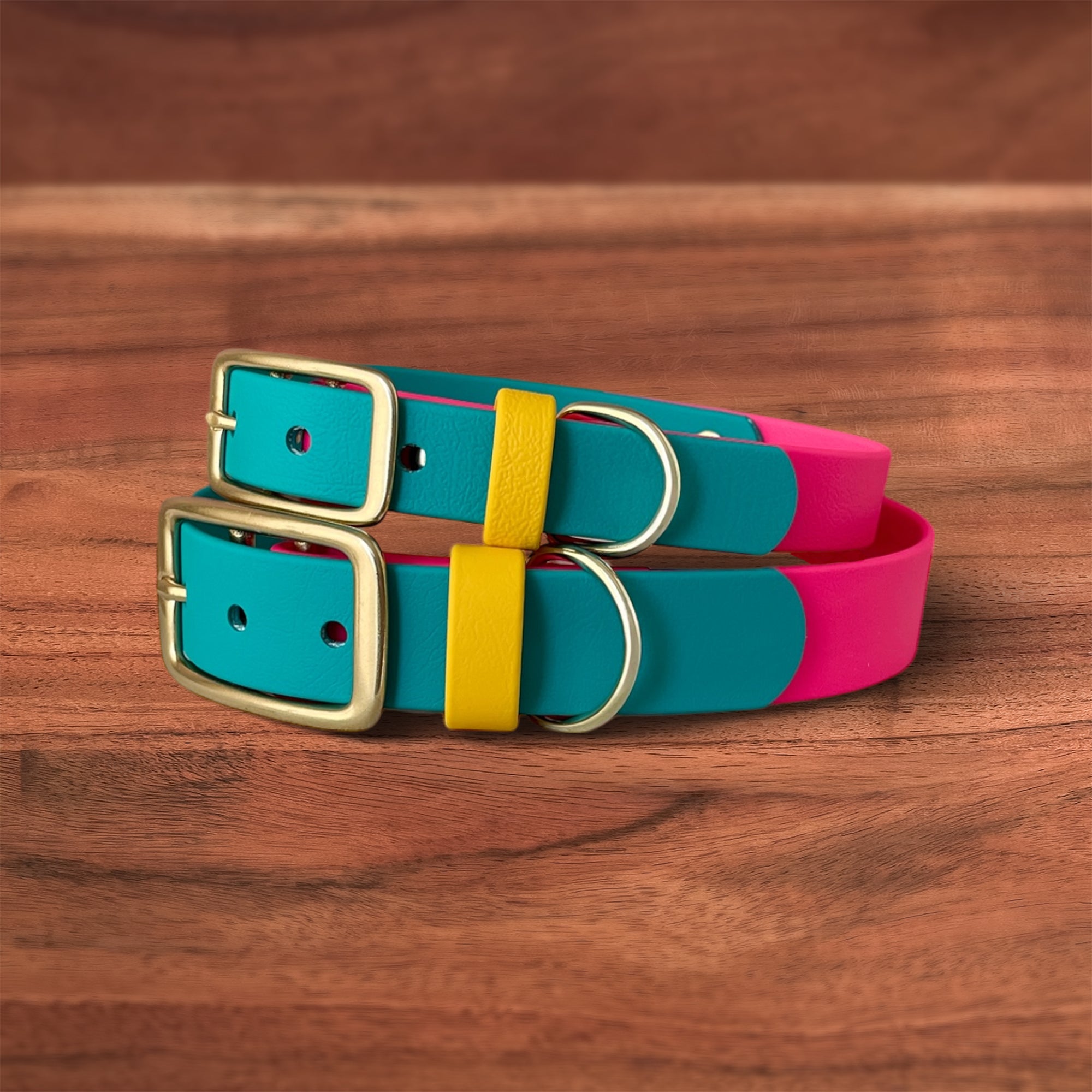 Modern Retro Buckle Collar - FoxMoth - Pet Collars & Harnesses
