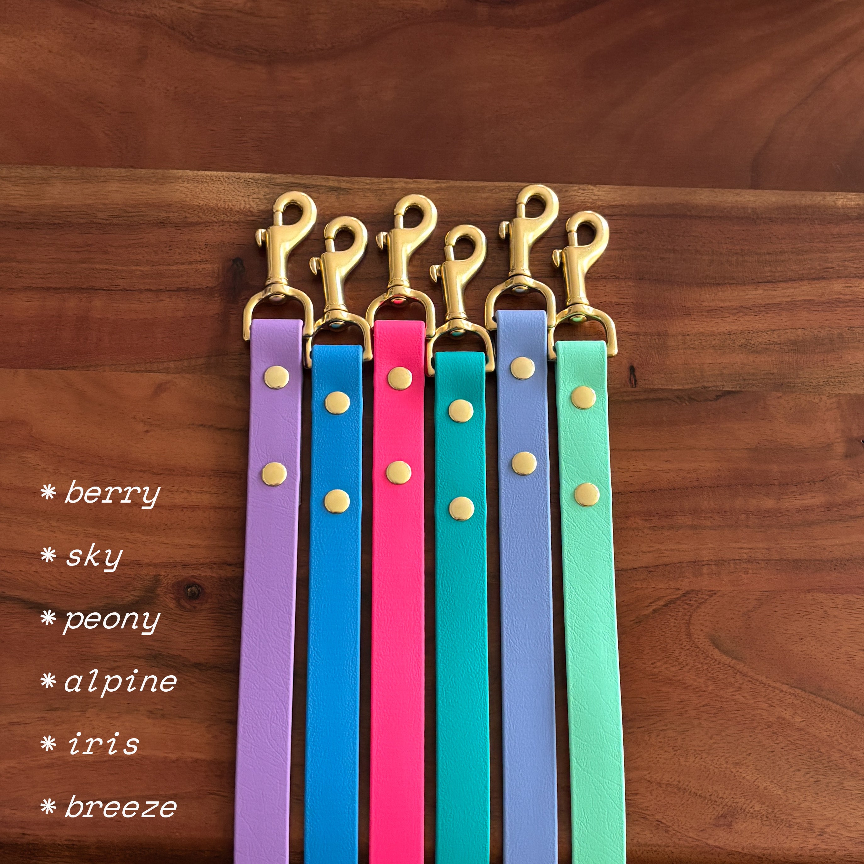 custom hands free leash