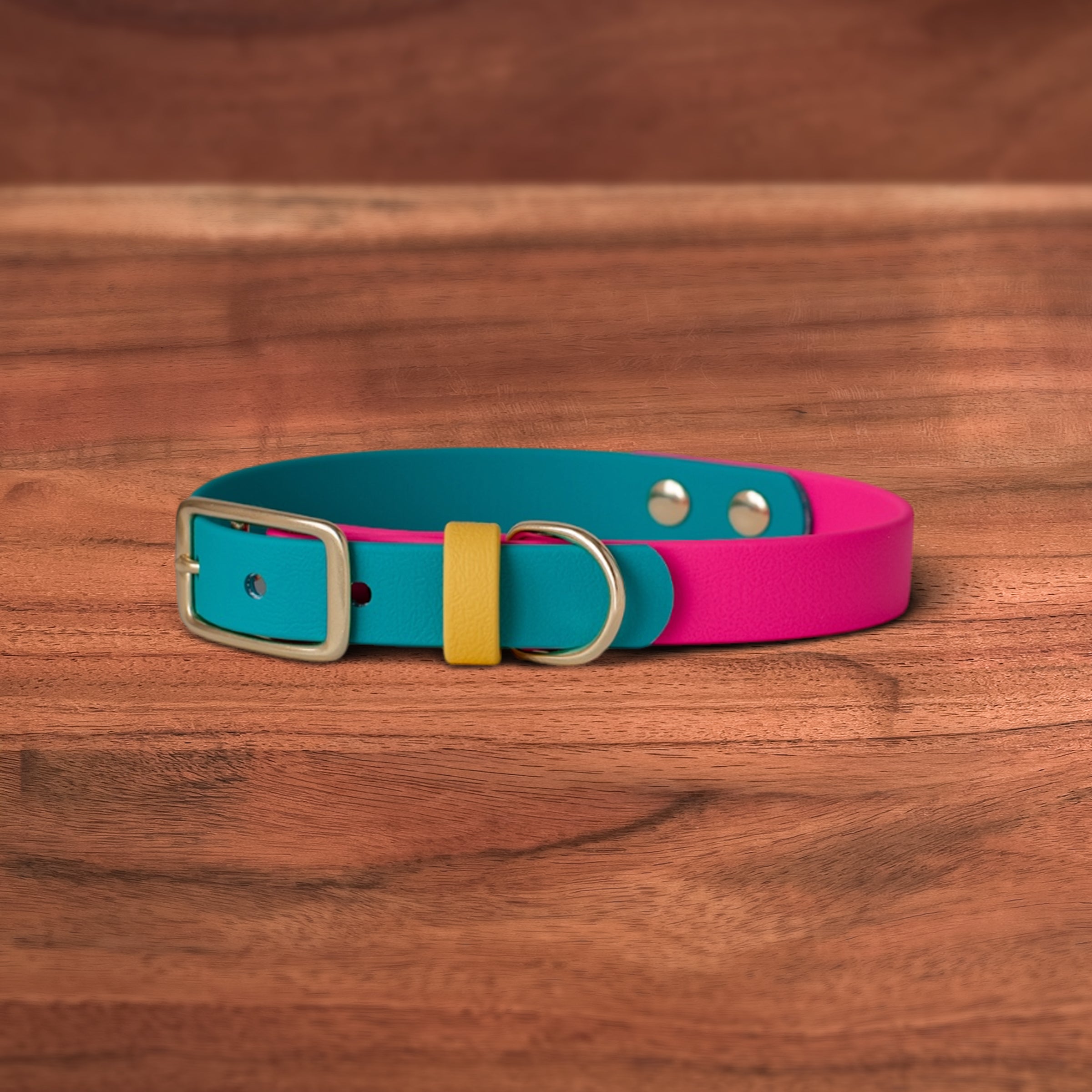 Modern Retro Buckle Collar - FoxMoth - Pet Collars & Harnesses