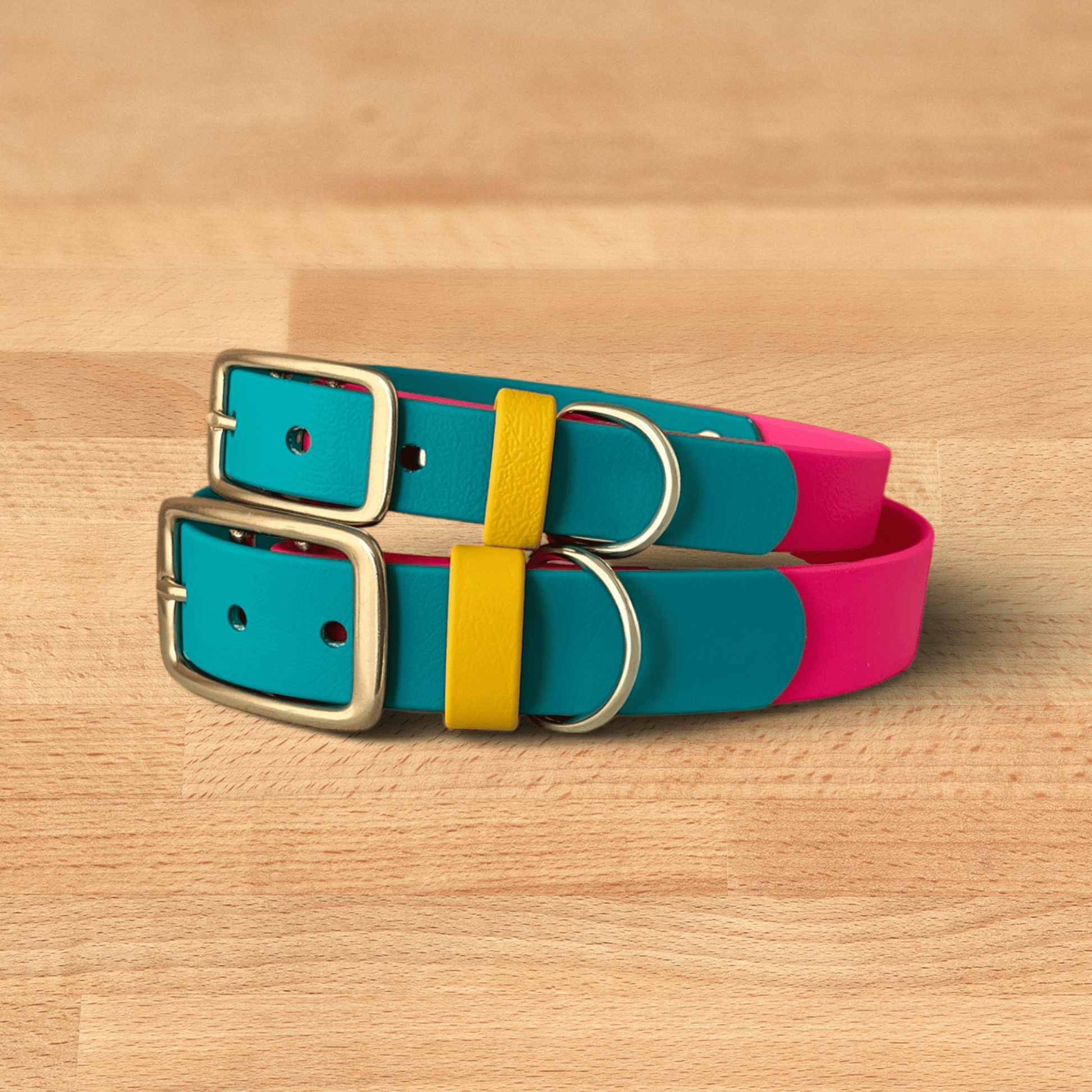 Modern Retro Buckle Collar - FoxMoth - Pet Collars & Harnesses