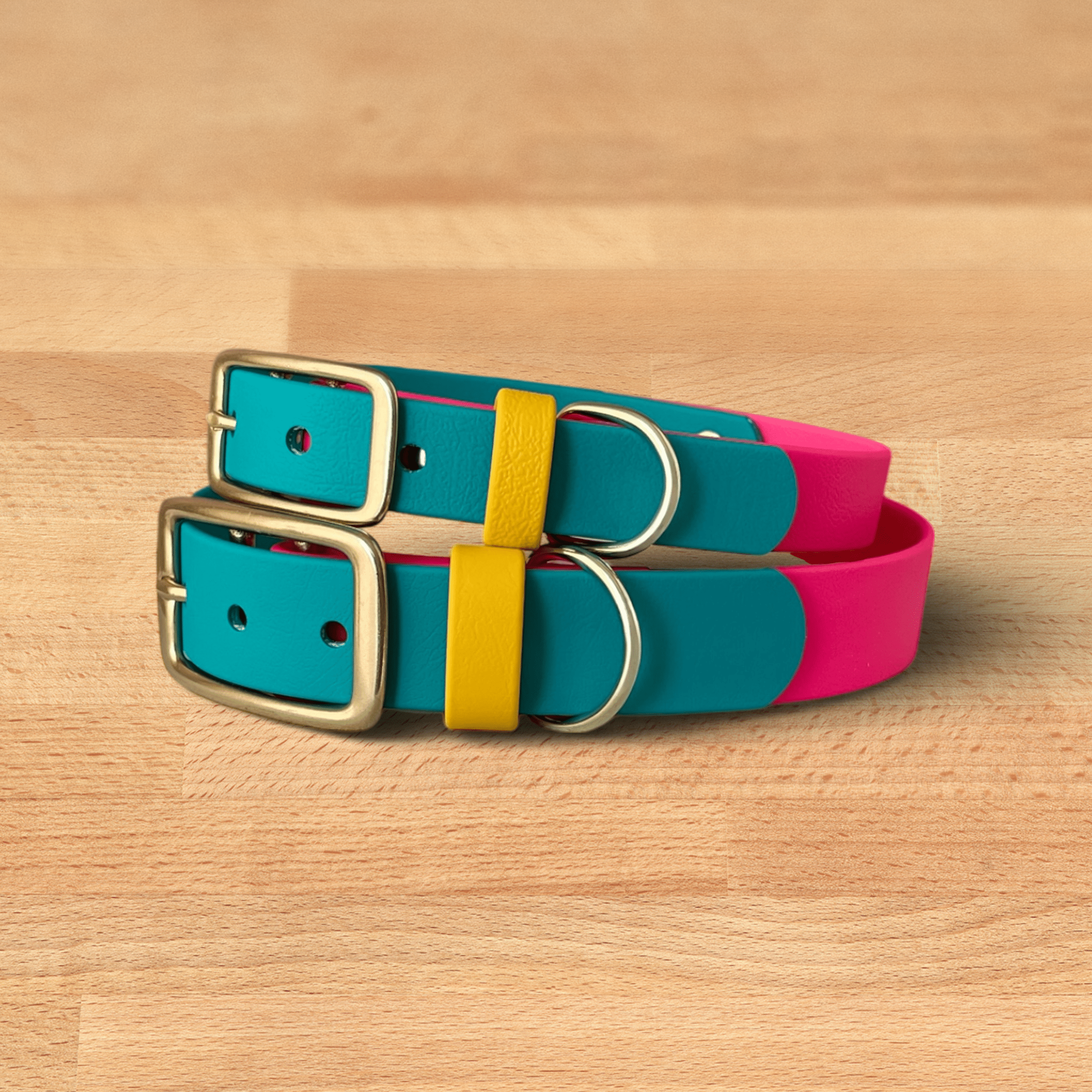 Modern Retro Buckle Collar - FoxMoth - Pet Collars & Harnesses