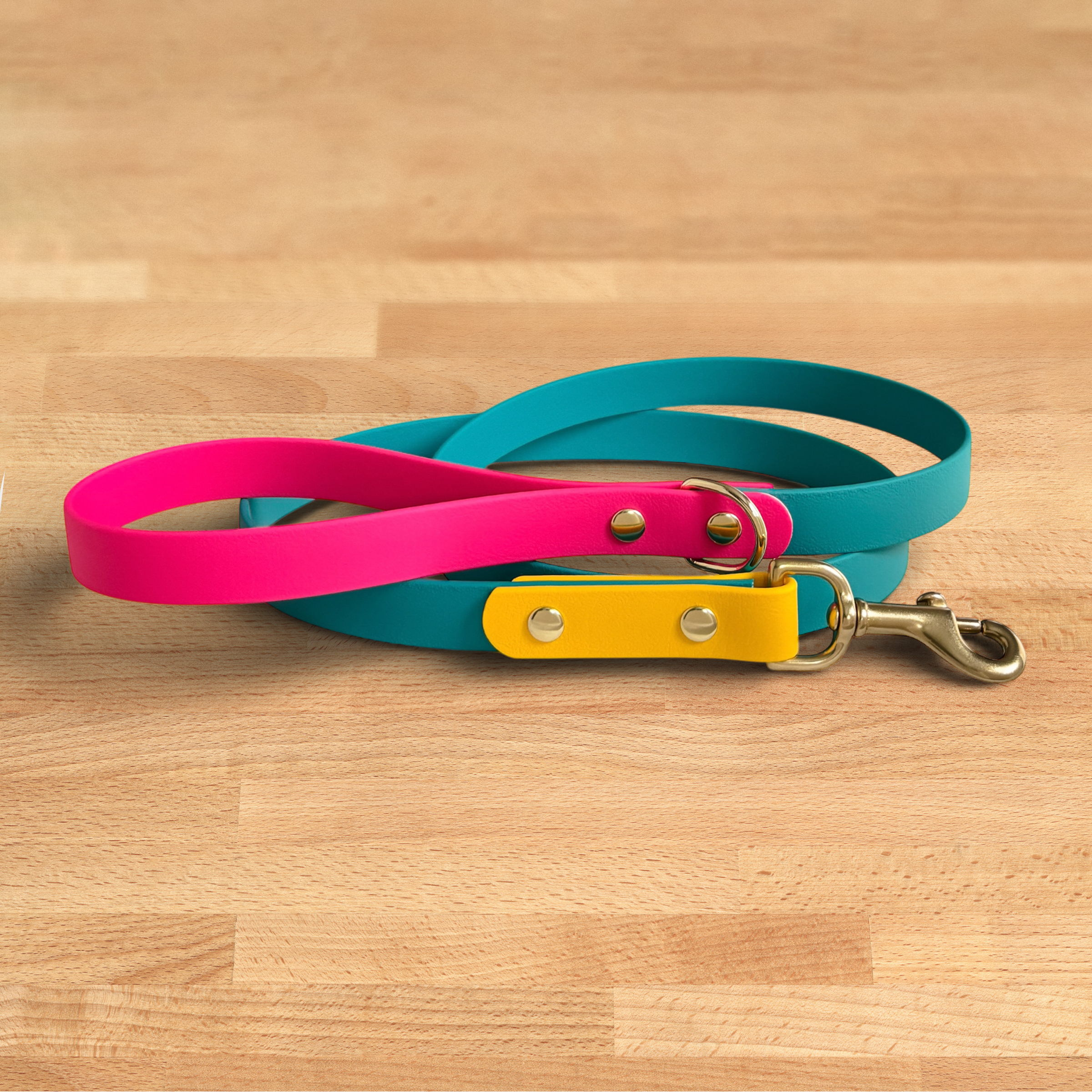 Modern Retro Leash