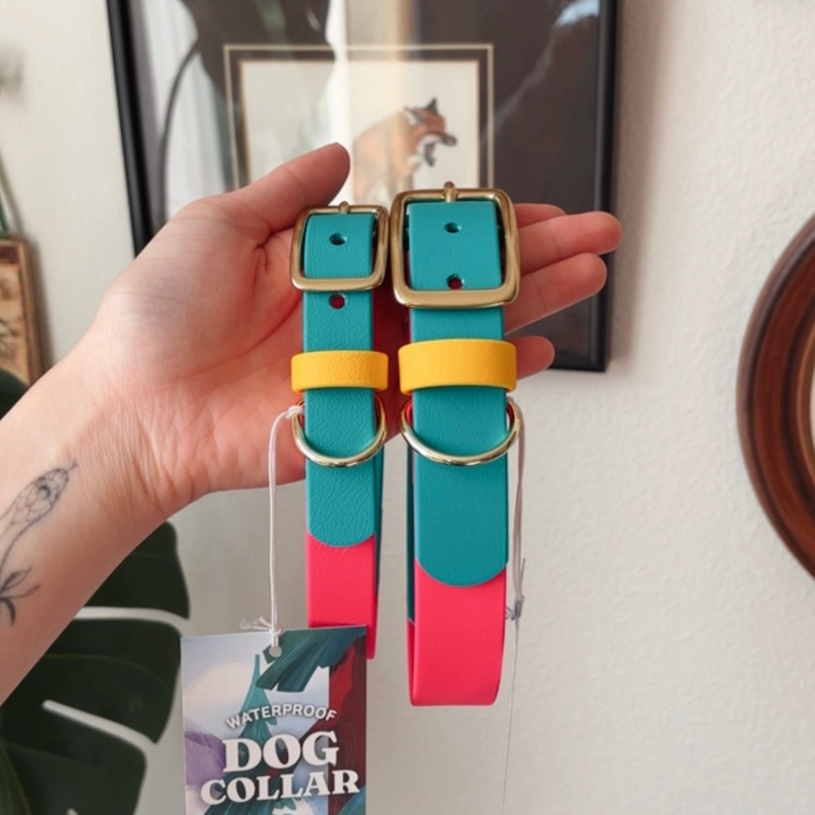 Modern Retro Buckle Collar - FoxMoth - Pet Collars & Harnesses