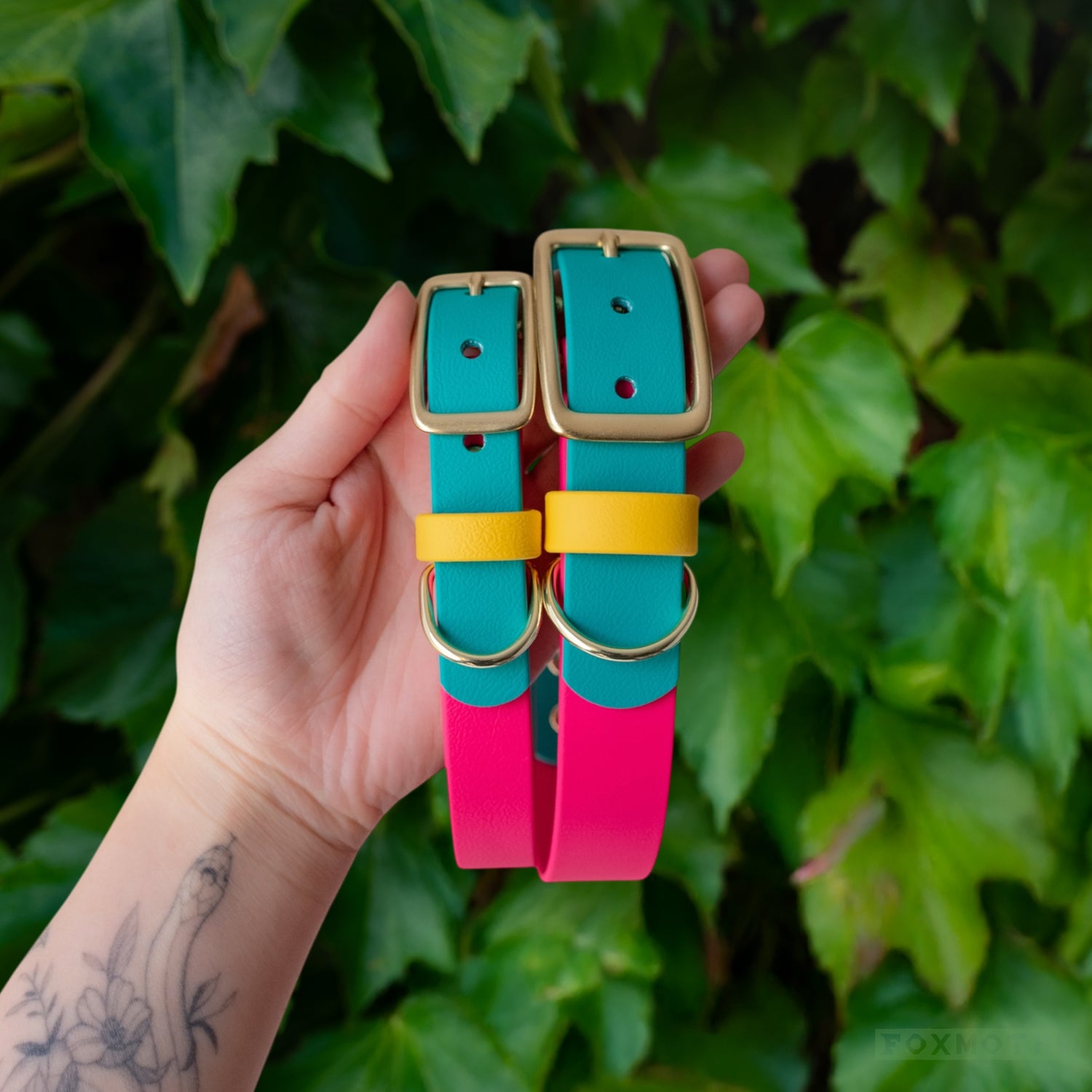 Modern Retro Buckle Collar - FoxMoth - Pet Collars & Harnesses