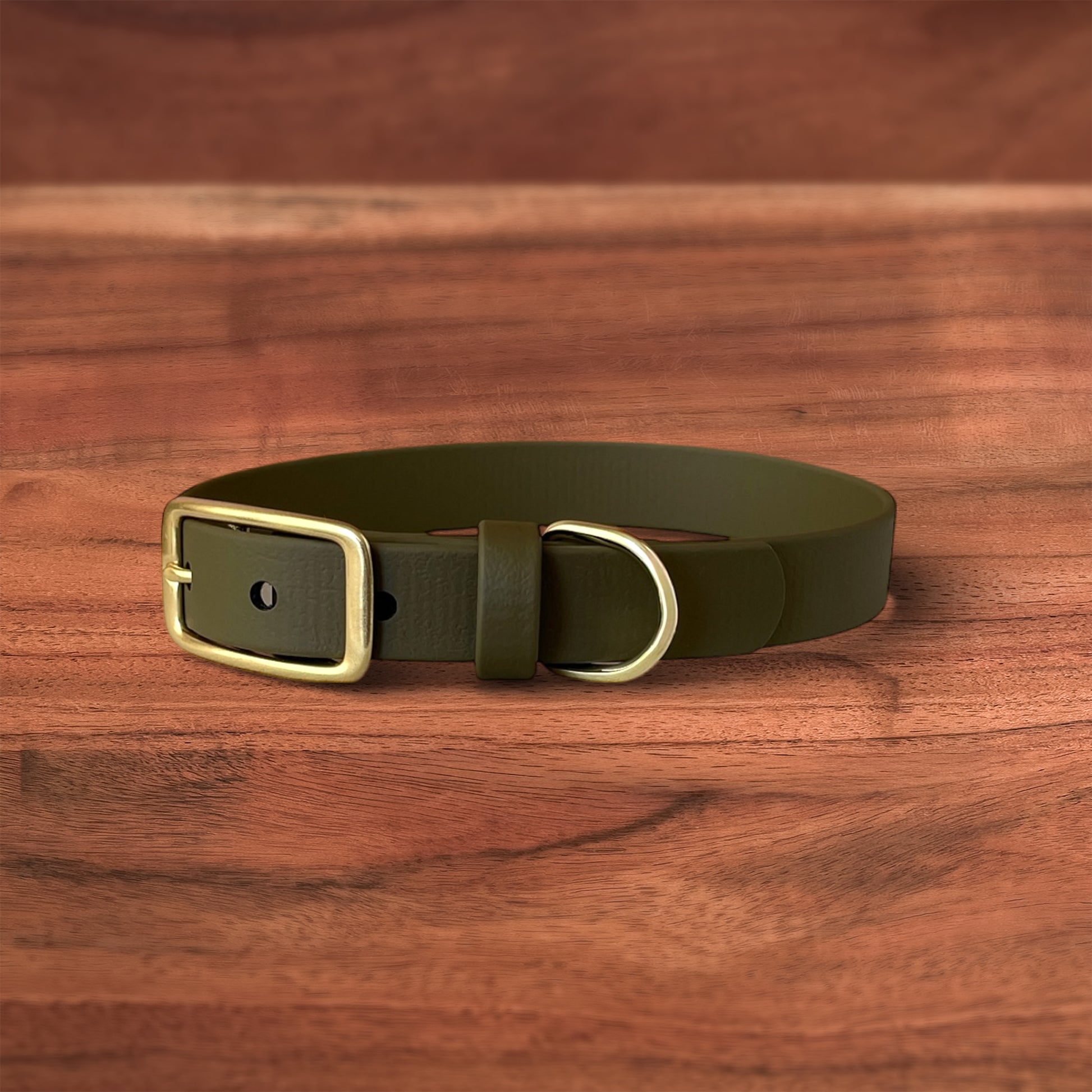 Moss Buckle Collar - FoxMoth - Pet Collars & Harnesses