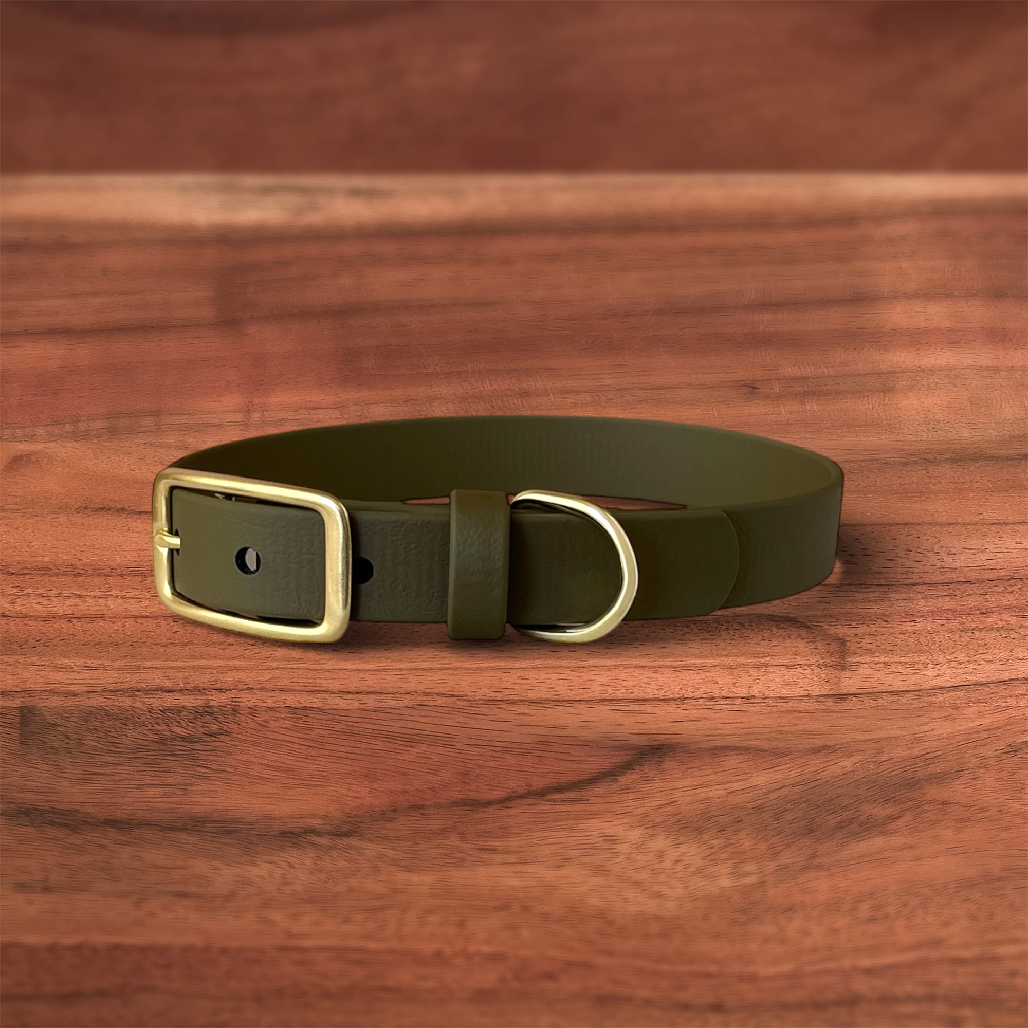 Moss Buckle Collar - FoxMoth - Pet Collars & Harnesses