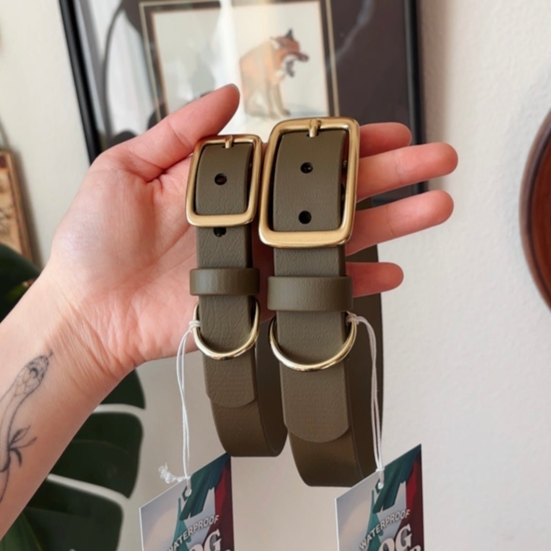 moss buckle collar - FoxMoth - Pet Collars & Harnesses