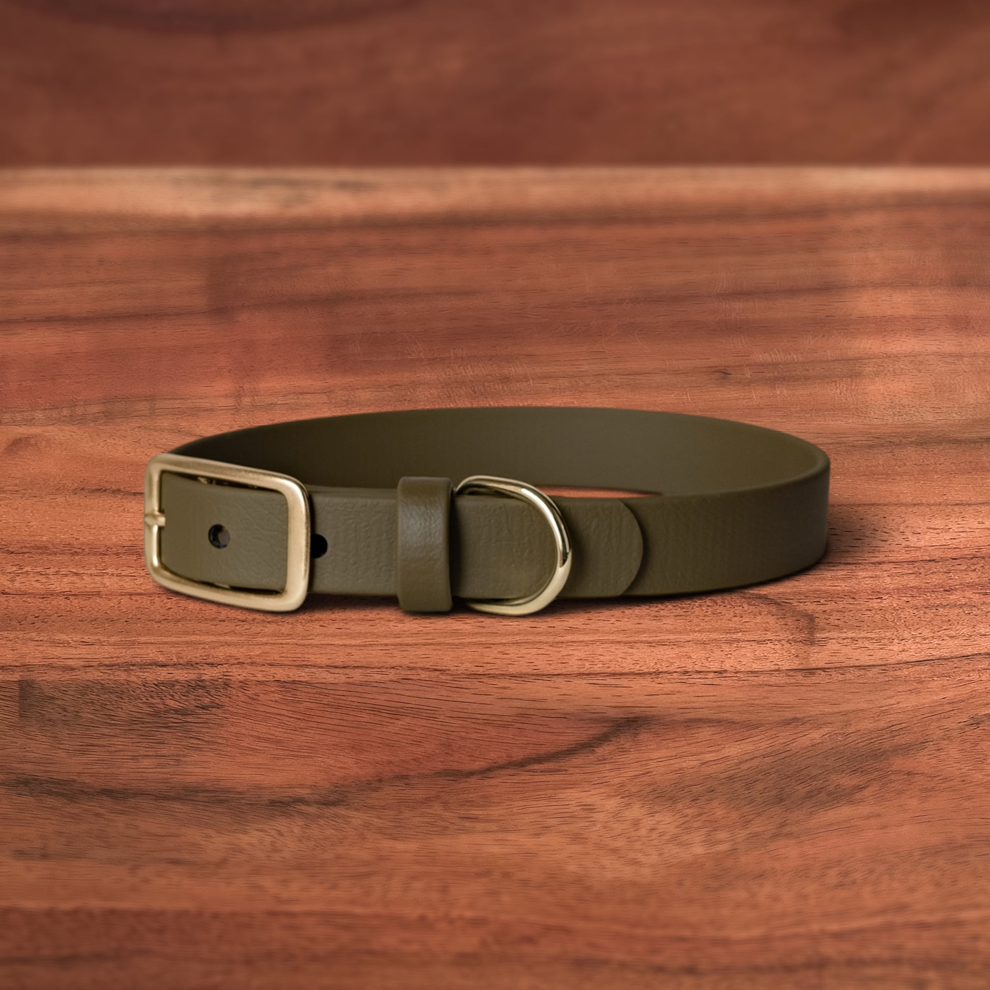 Moss Buckle Collar - FoxMoth - Pet Collars & Harnesses