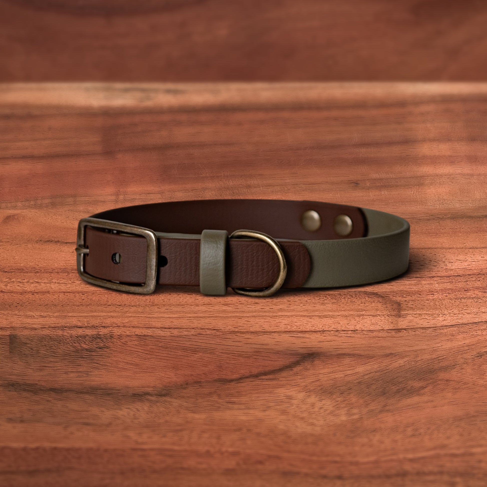 Saddle x Moss Buckle Collar - FoxMoth - Pet Collars & Harnesses