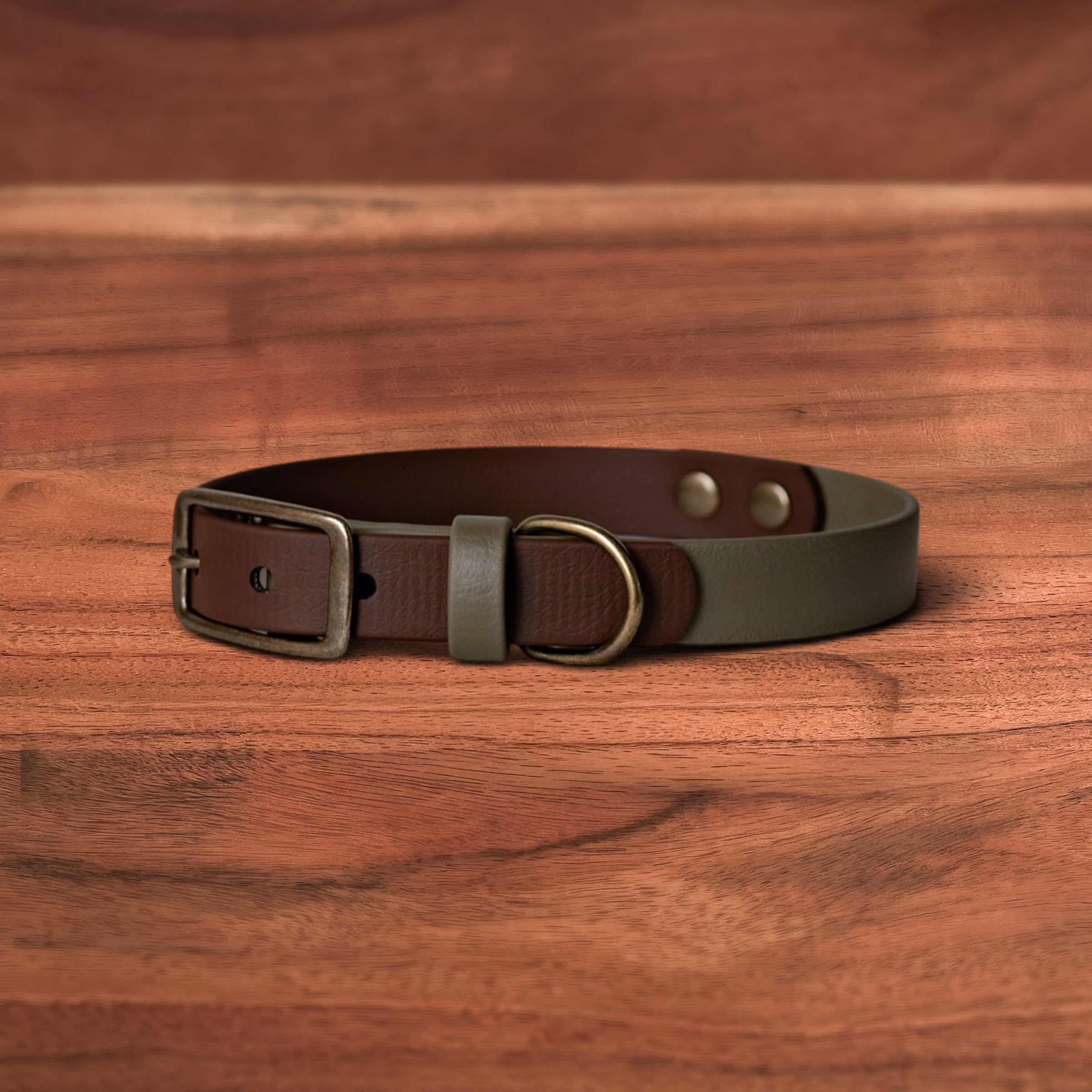 Saddle x Moss Buckle Collar - FoxMoth - Pet Collars & Harnesses