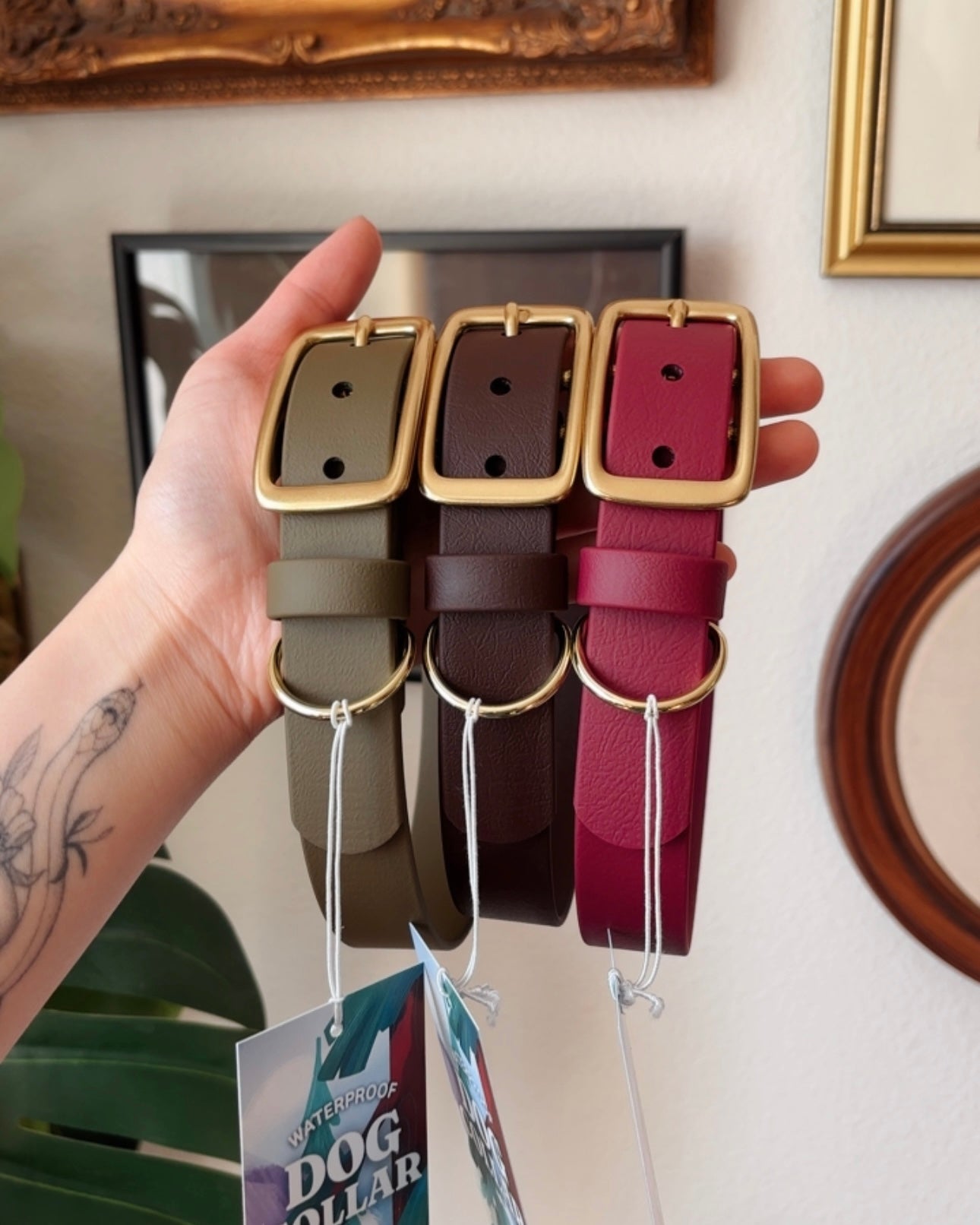 saddle buckle collar - FoxMoth - Pet Collars & Harnesses