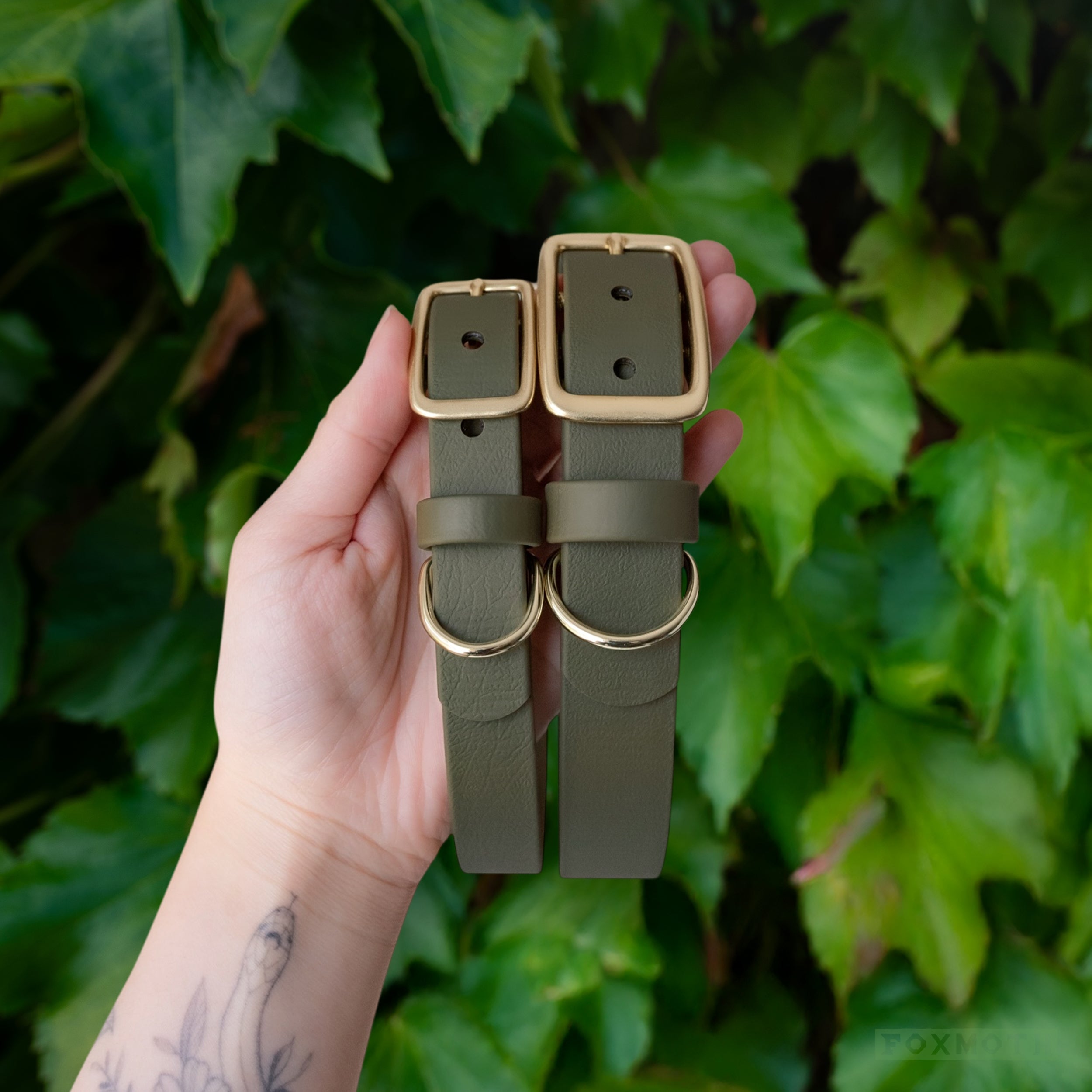 Moss Buckle Collar - FoxMoth - Pet Collars & Harnesses