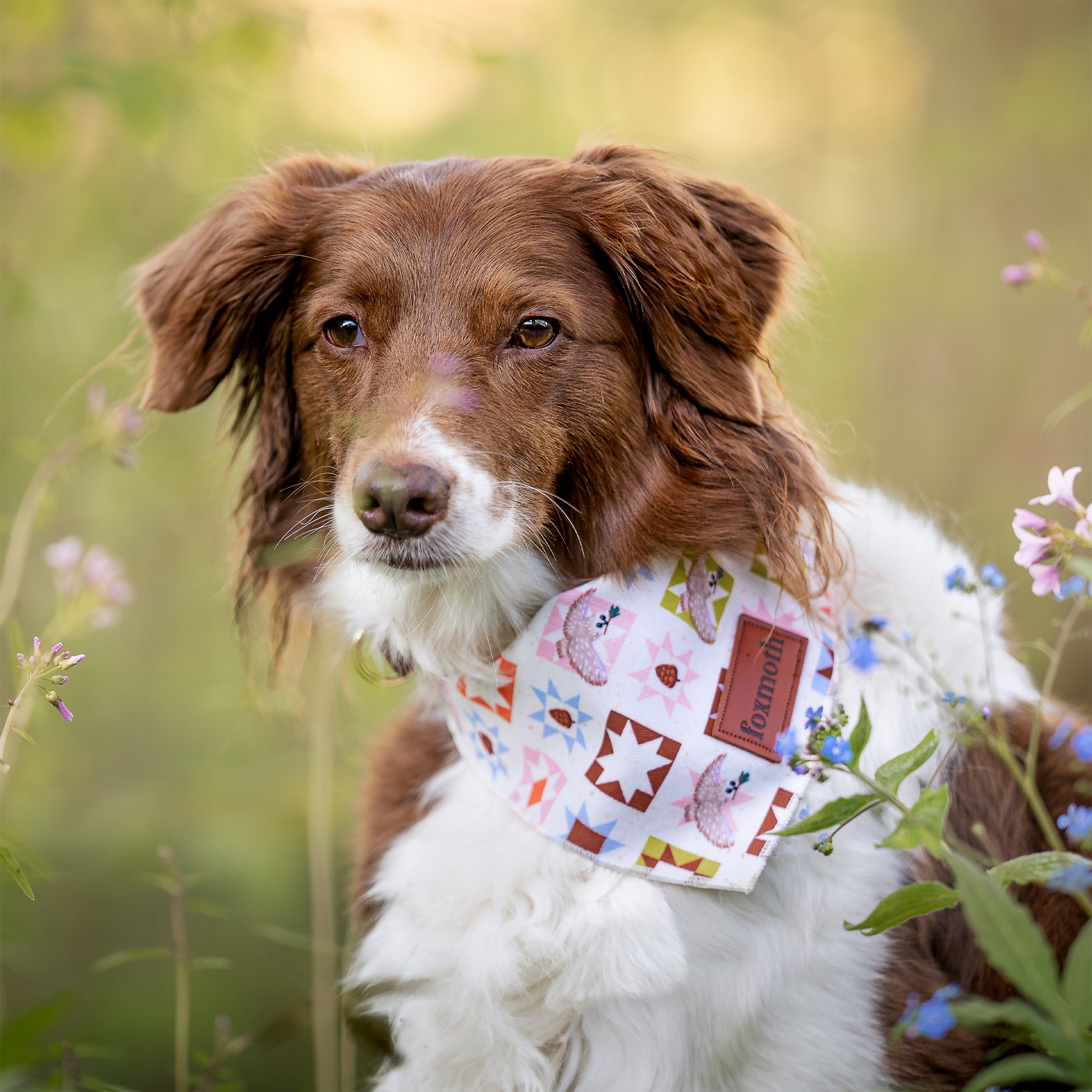 Owly Pines Bandana - FoxMoth - Bandana