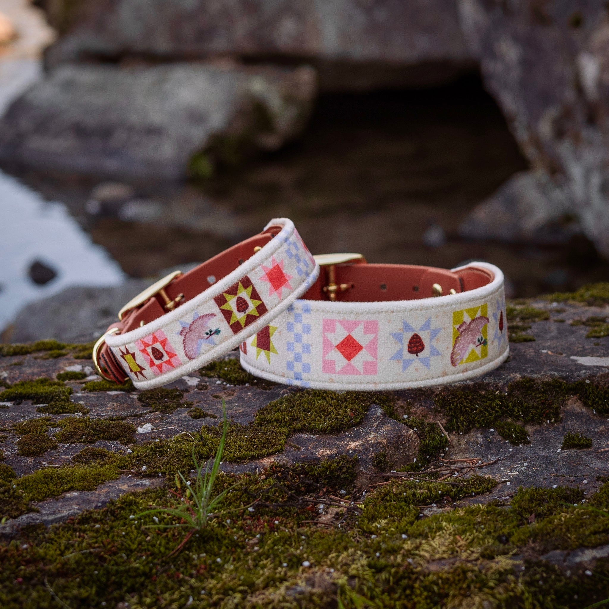 owly pines collar - FoxMoth - Leather Dog Collar