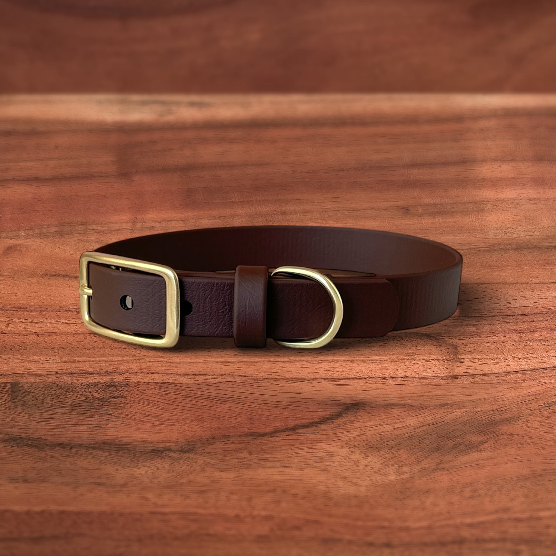 Saddle Buckle Collar - FoxMoth - Pet Collars & Harnesses