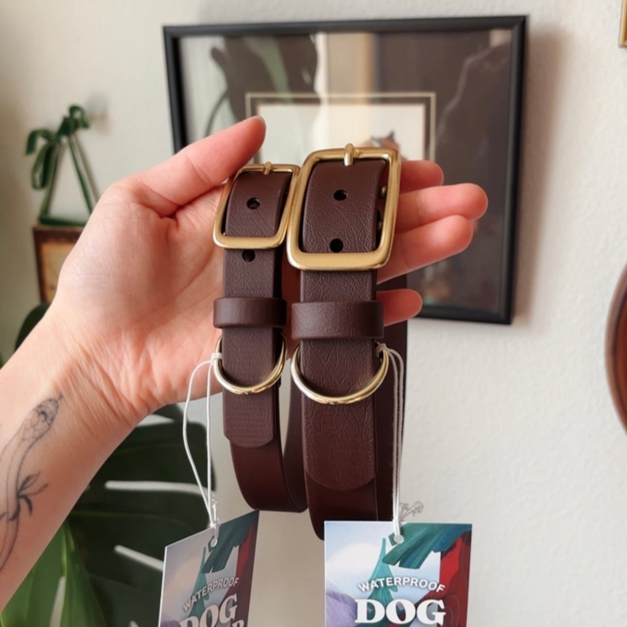 saddle buckle collar - FoxMoth - Pet Collars & Harnesses