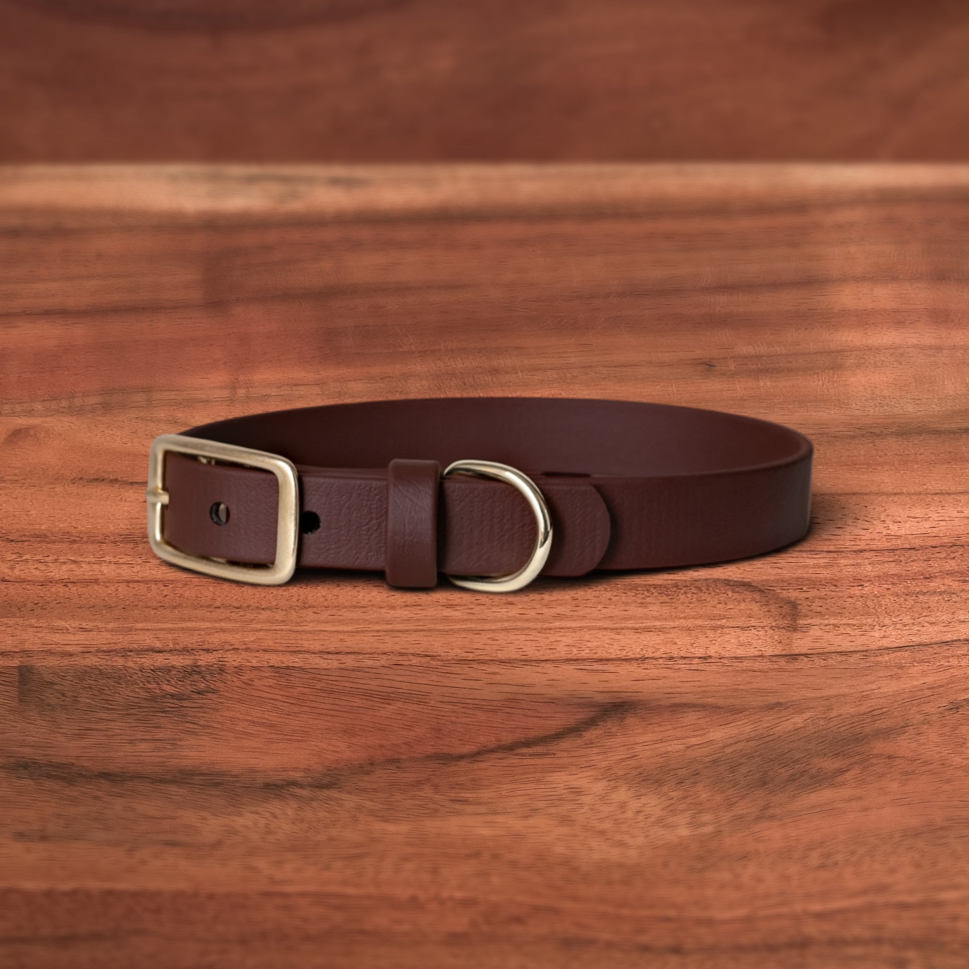 Saddle Buckle Collar - FoxMoth - Pet Collars & Harnesses