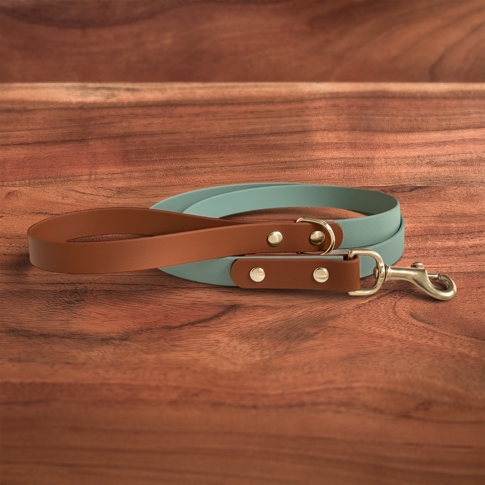 Custom Waterproof Leash - FoxMoth - Pet Collars & Harnesses