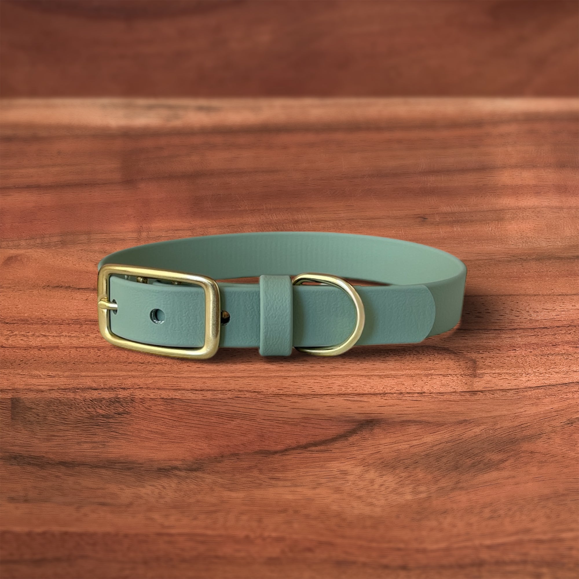 Sage Buckle Collar - FoxMoth - Pet Collars & Harnesses