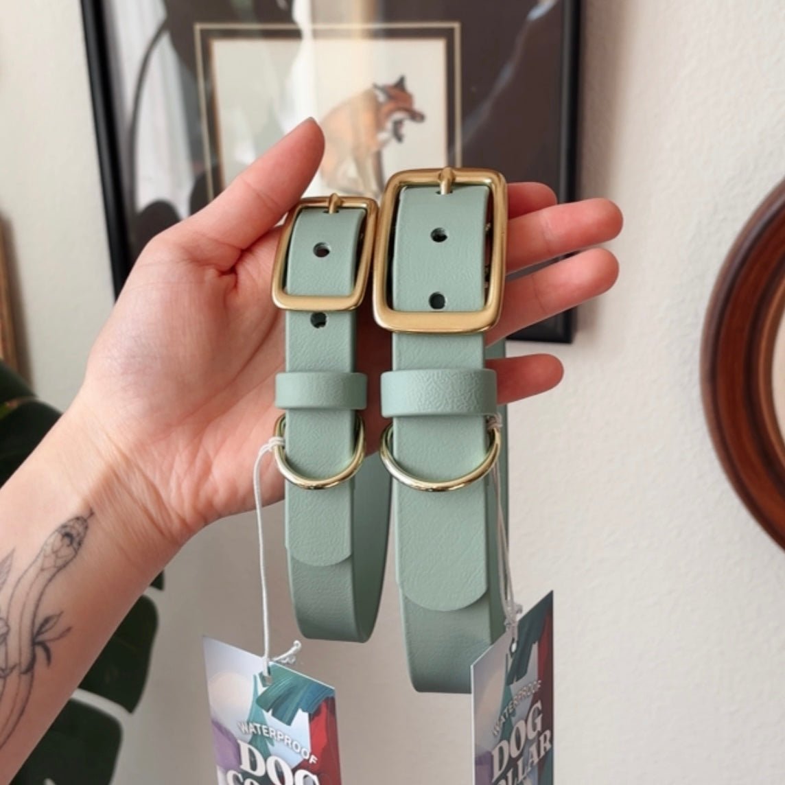 sage buckle collar - FoxMoth - Pet Collars & Harnesses