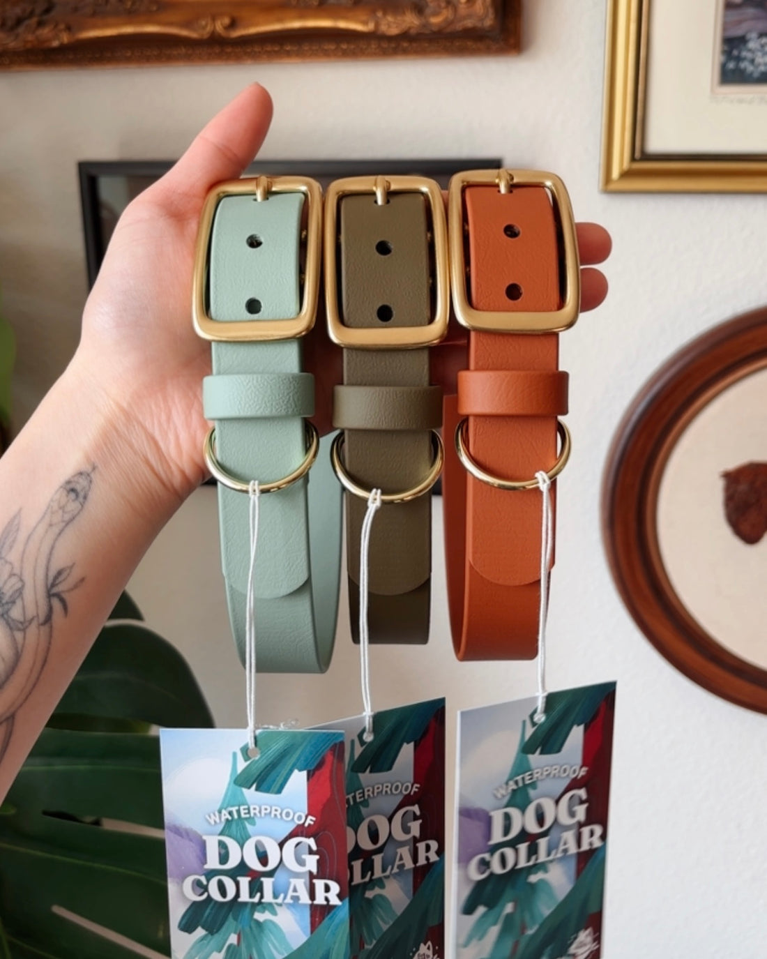 sienna buckle collar - FoxMoth - Pet Collars & Harnesses