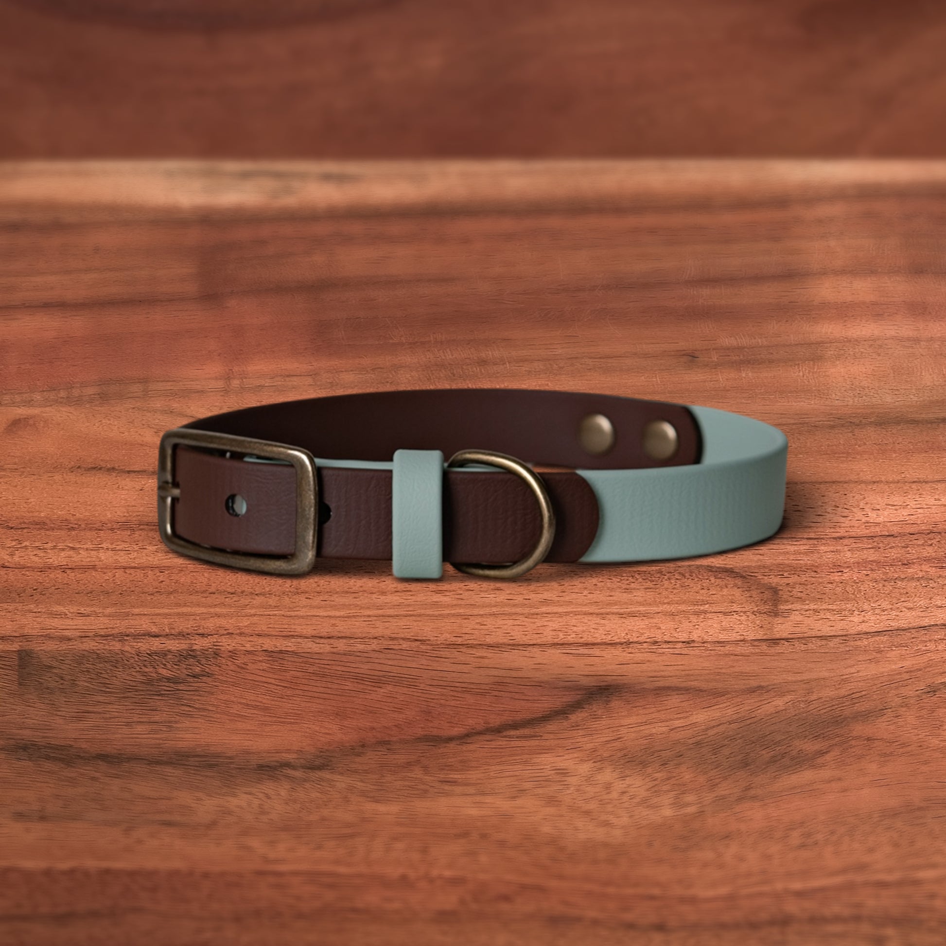 Saddle x Sage Buckle Collar - FoxMoth - Pet Collars & Harnesses
