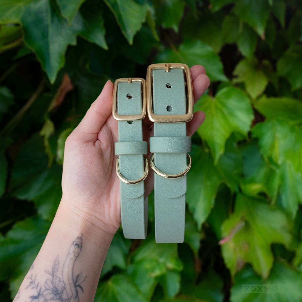 Sage Buckle Collar - FoxMoth - Pet Collars & Harnesses