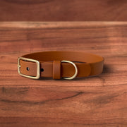 Sienna Buckle Collar - FoxMoth - Pet Collars & Harnesses