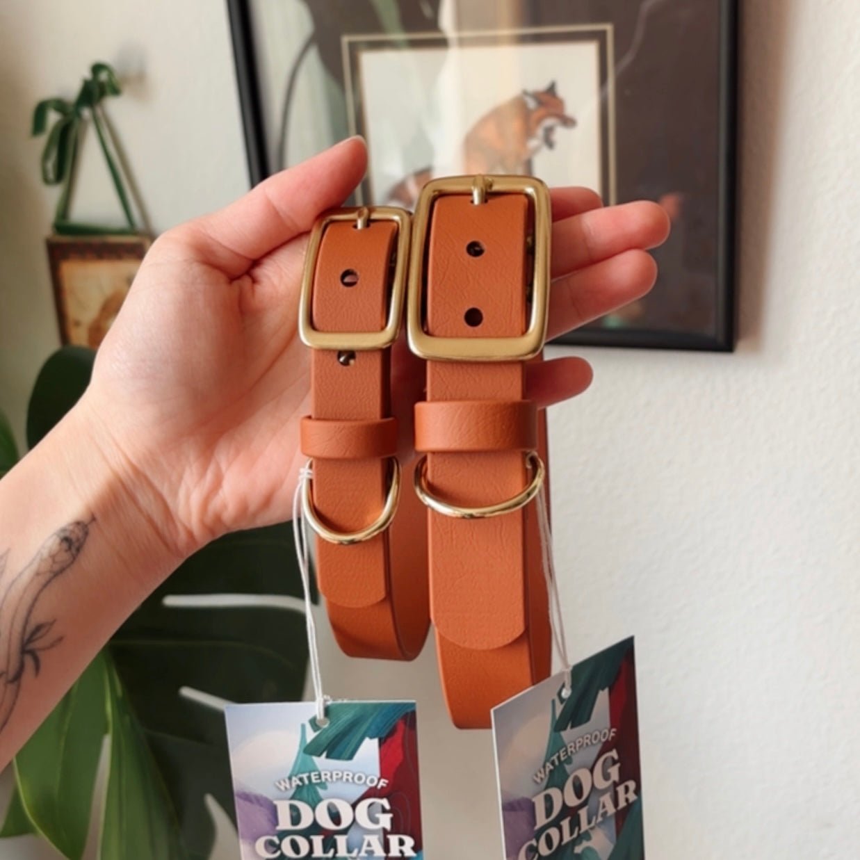 sienna buckle collar - FoxMoth - Pet Collars & Harnesses