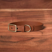 Sienna Buckle Collar - FoxMoth - Pet Collars & Harnesses