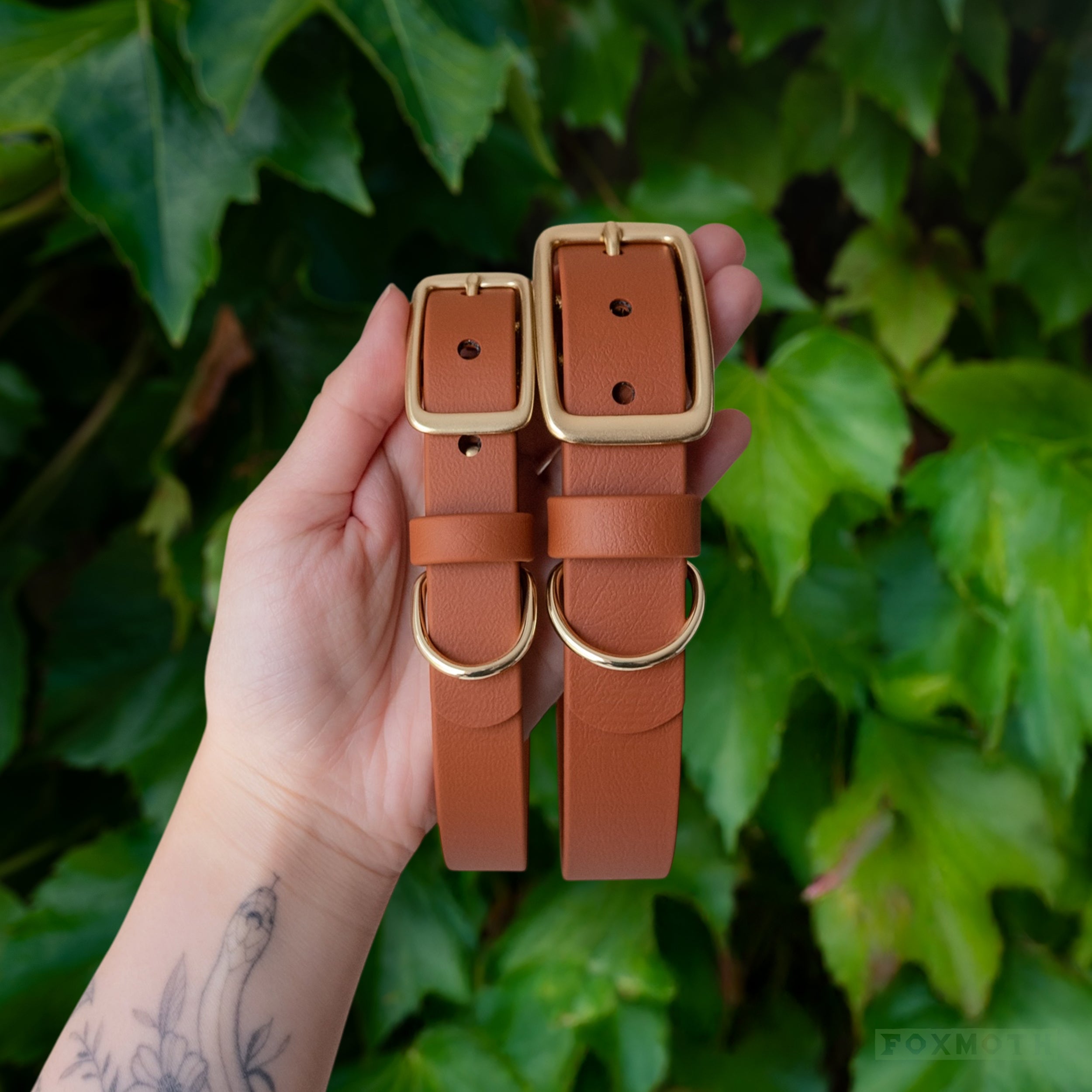 Sienna Buckle Collar - FoxMoth - Pet Collars & Harnesses