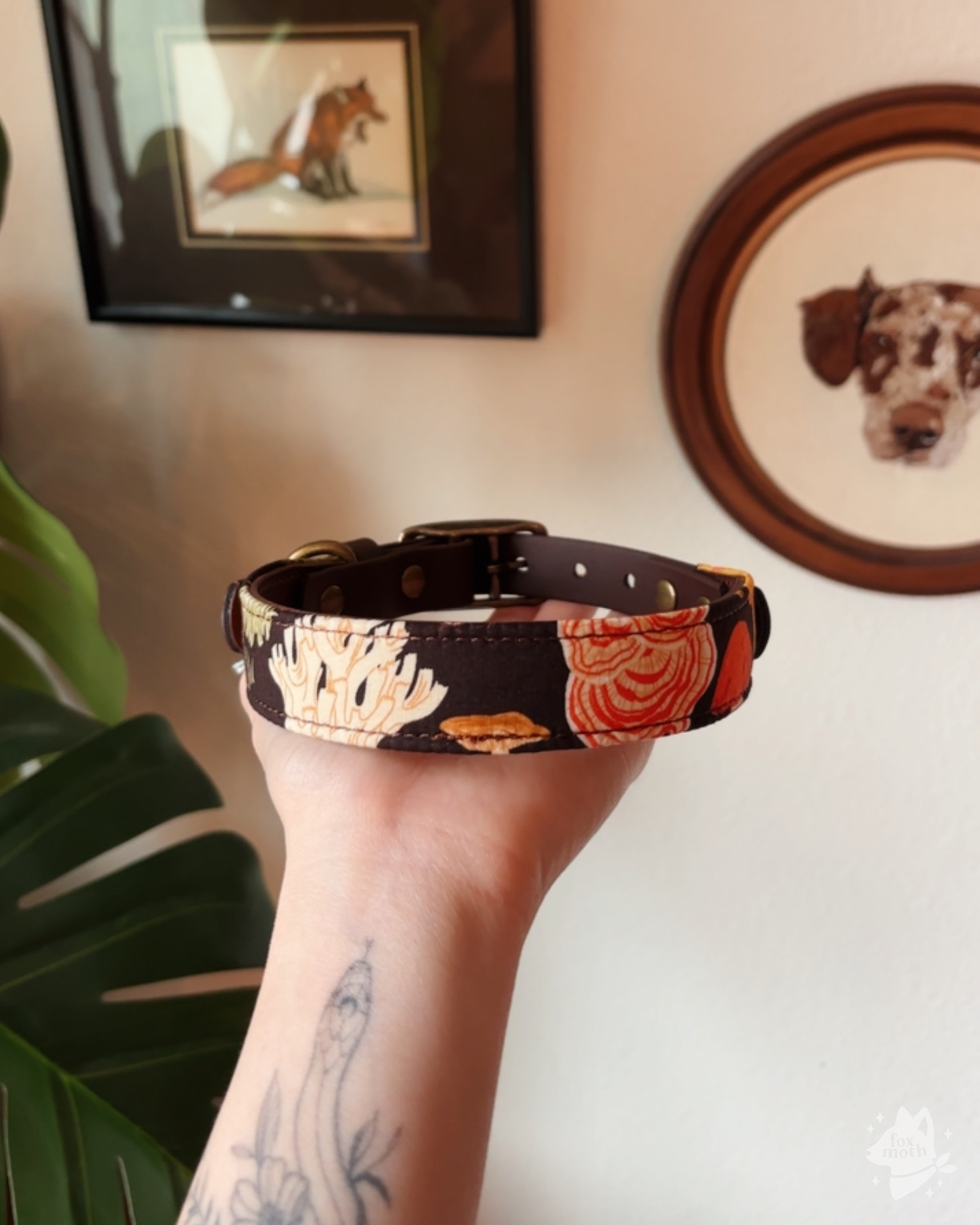 forager collar - FoxMoth - Leather Dog Collar