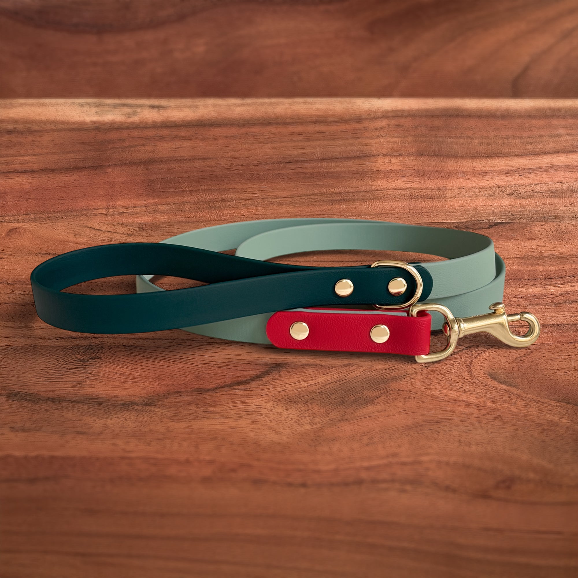 Strawberry Matcha Leash - FoxMoth - Pet Collars & Harnesses