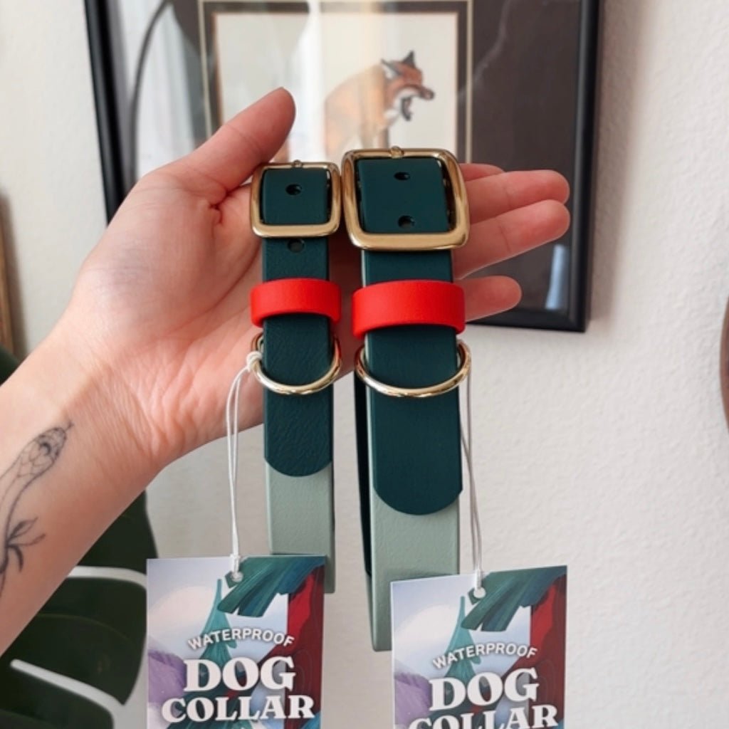 Strawberry Matcha Buckle Collar - FoxMoth - Pet Collars & Harnesses