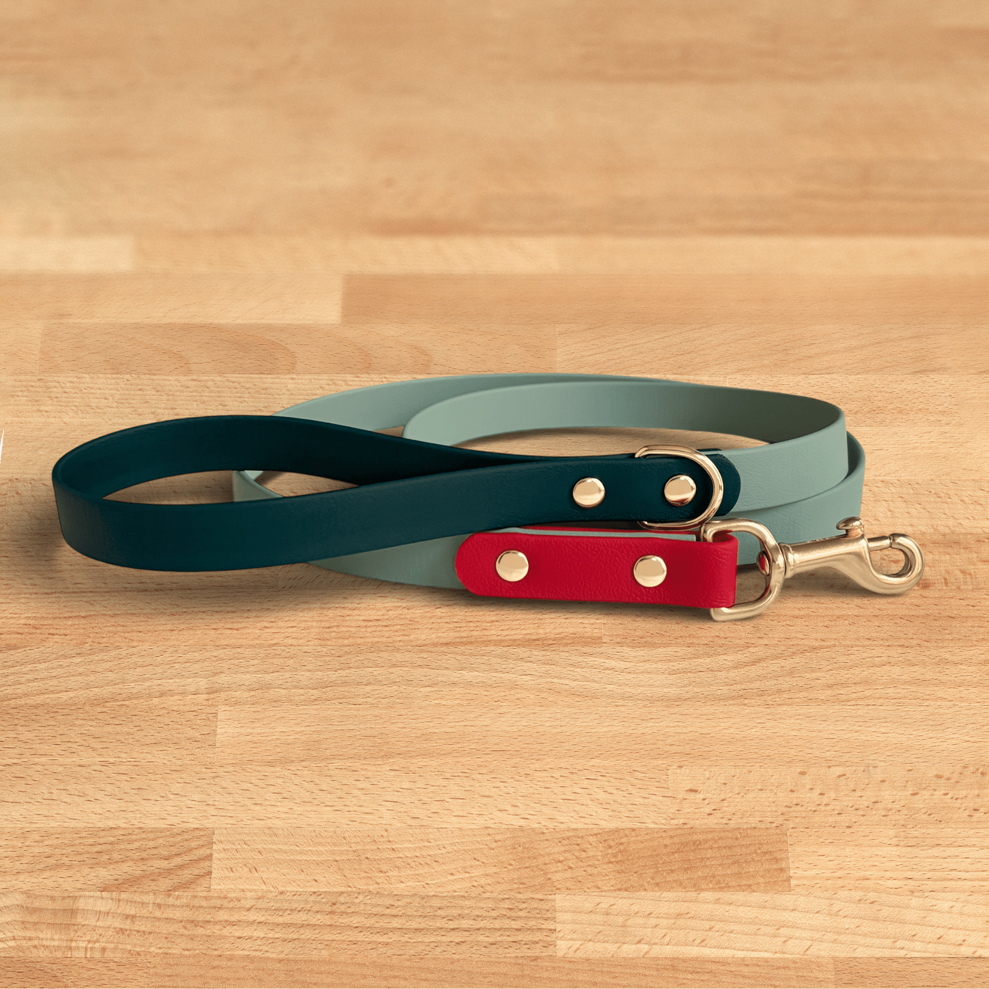 Strawberry Matcha Leash - FoxMoth - Pet Collars & Harnesses