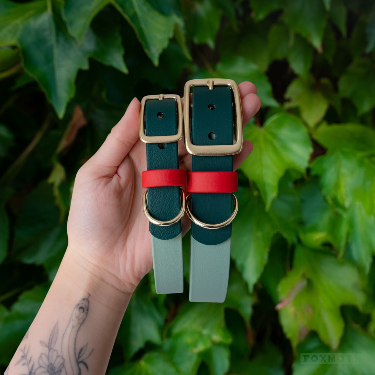 Strawberry Matcha Buckle Collar - FoxMoth - Pet Collars & Harnesses