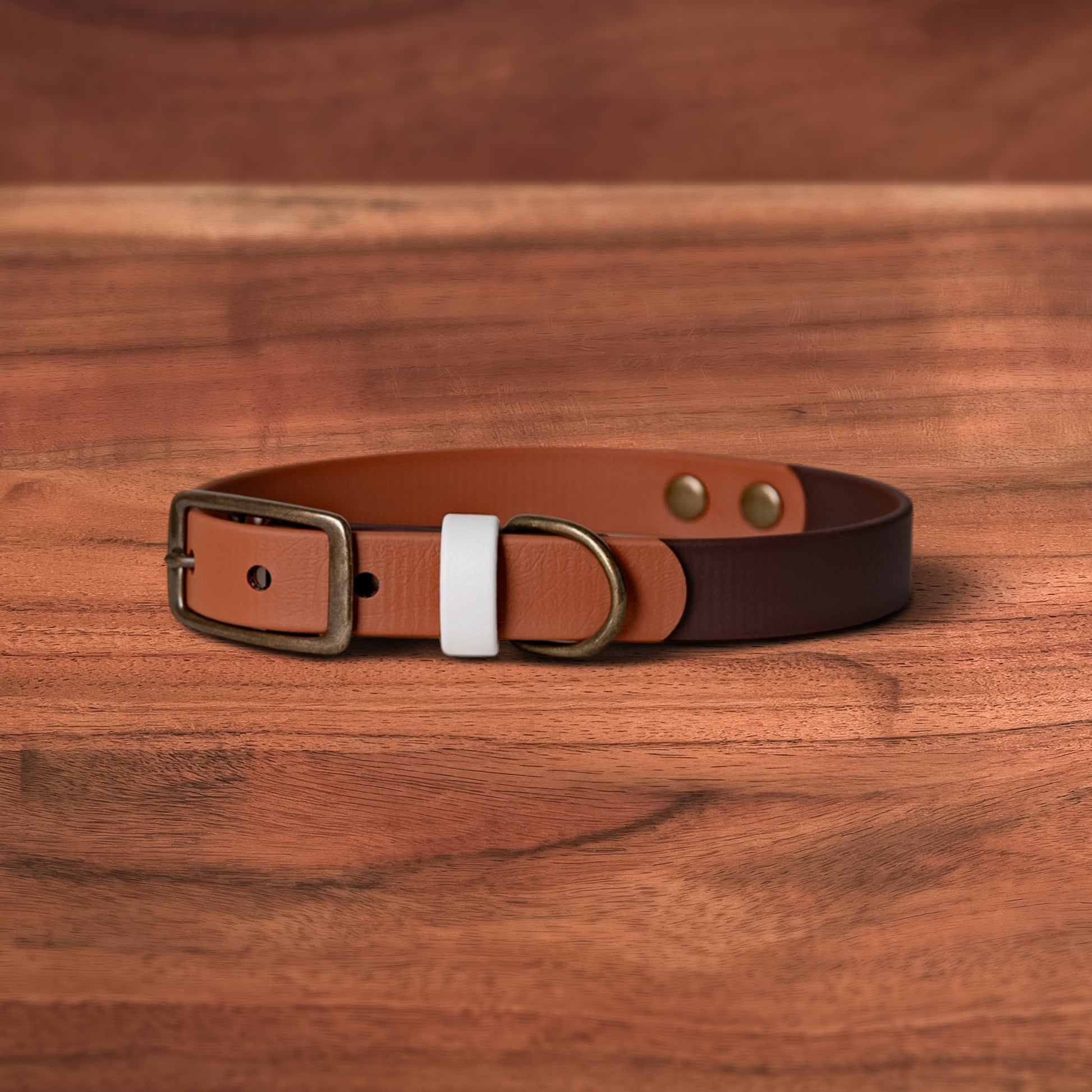 Toasted Earth Buckle Collars - FoxMoth - Pet Collars & Harnesses