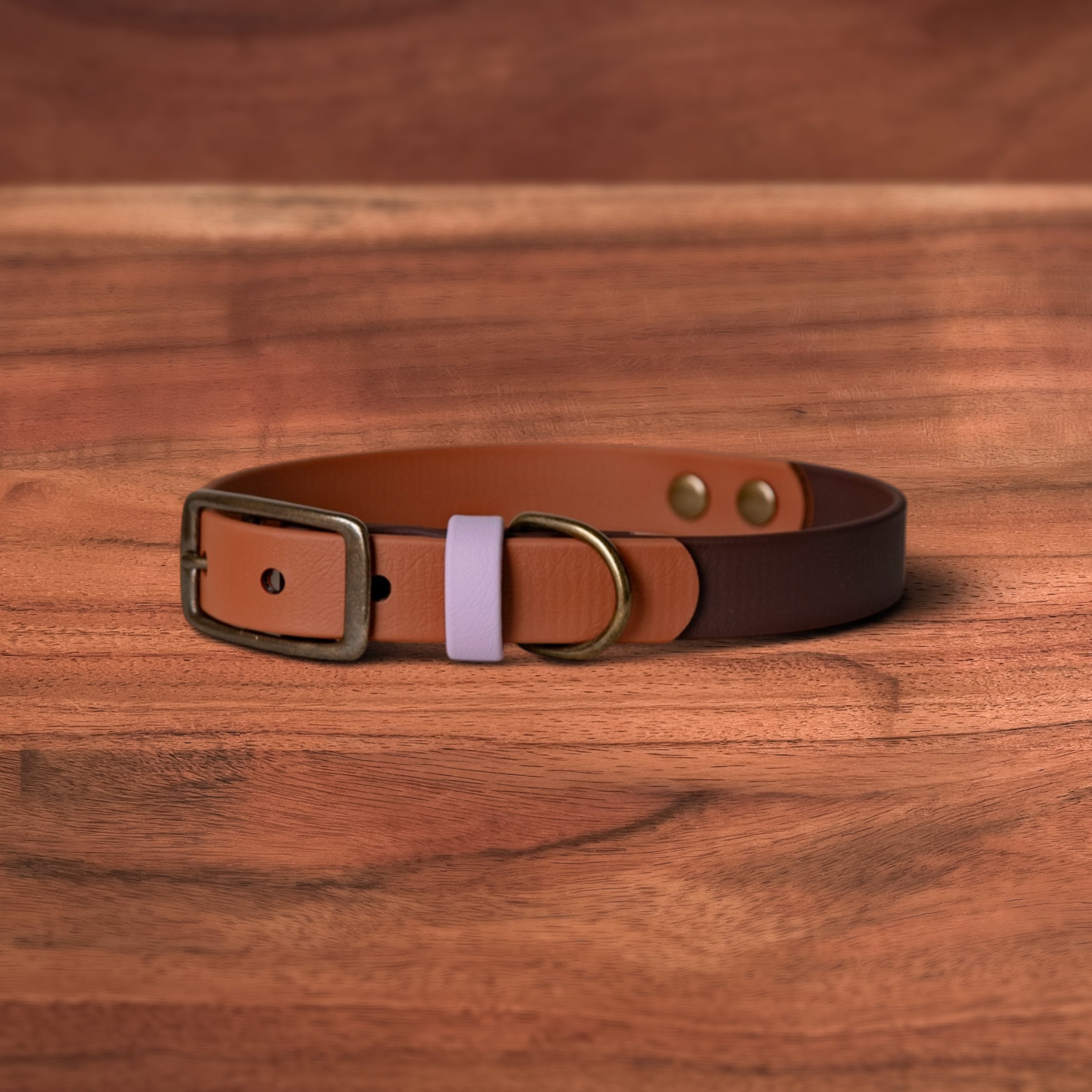 Toasted Earth Buckle Collars - FoxMoth - Pet Collars & Harnesses