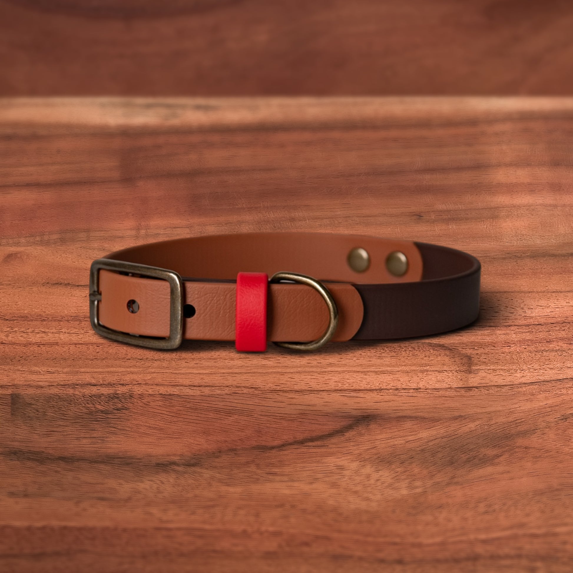 Toasted Earth Buckle Collars - FoxMoth - Pet Collars & Harnesses