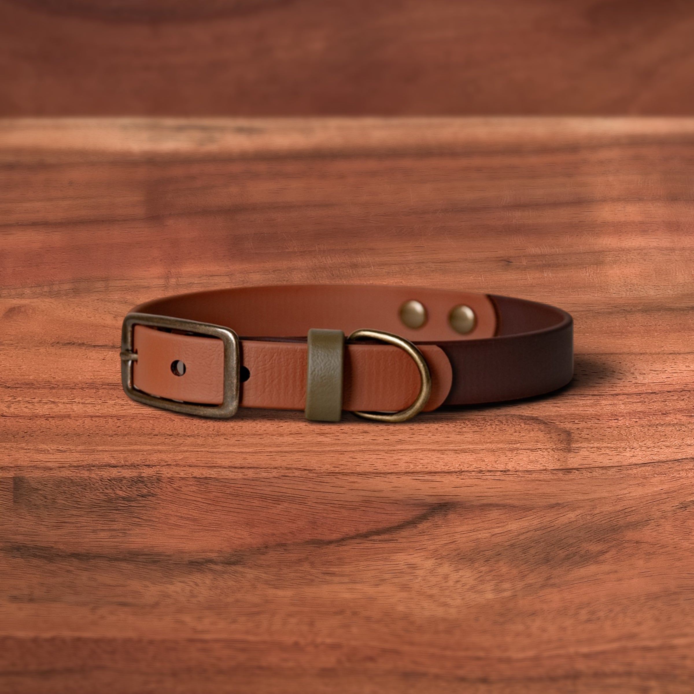 Toasted Earth Buckle Collars - FoxMoth - Pet Collars & Harnesses